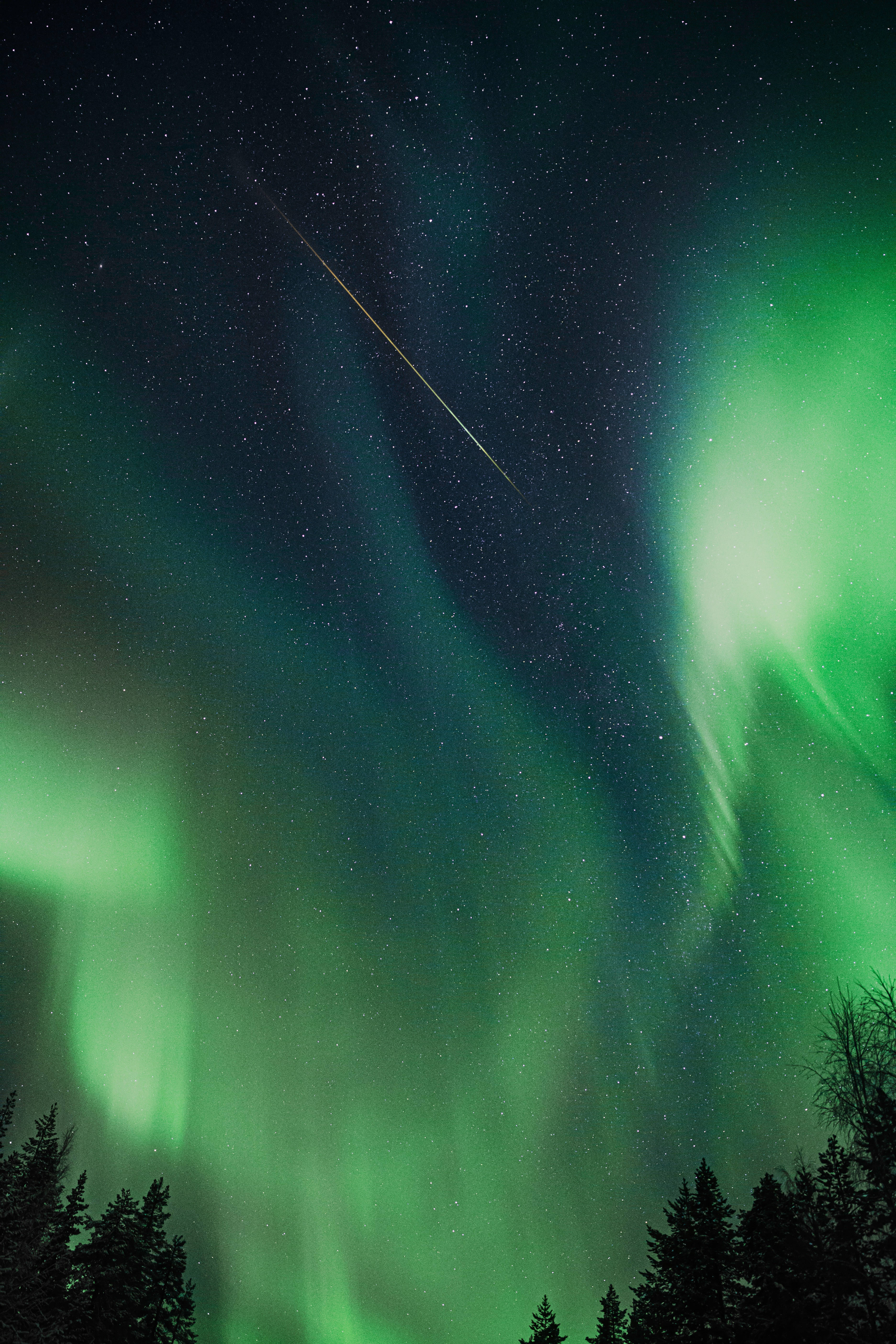 lights 桌布 壁紙 — 充滿活力的綠色北極光在繁星點點的夜空中舞動，一顆流星劃過黑暗的松樹上方。