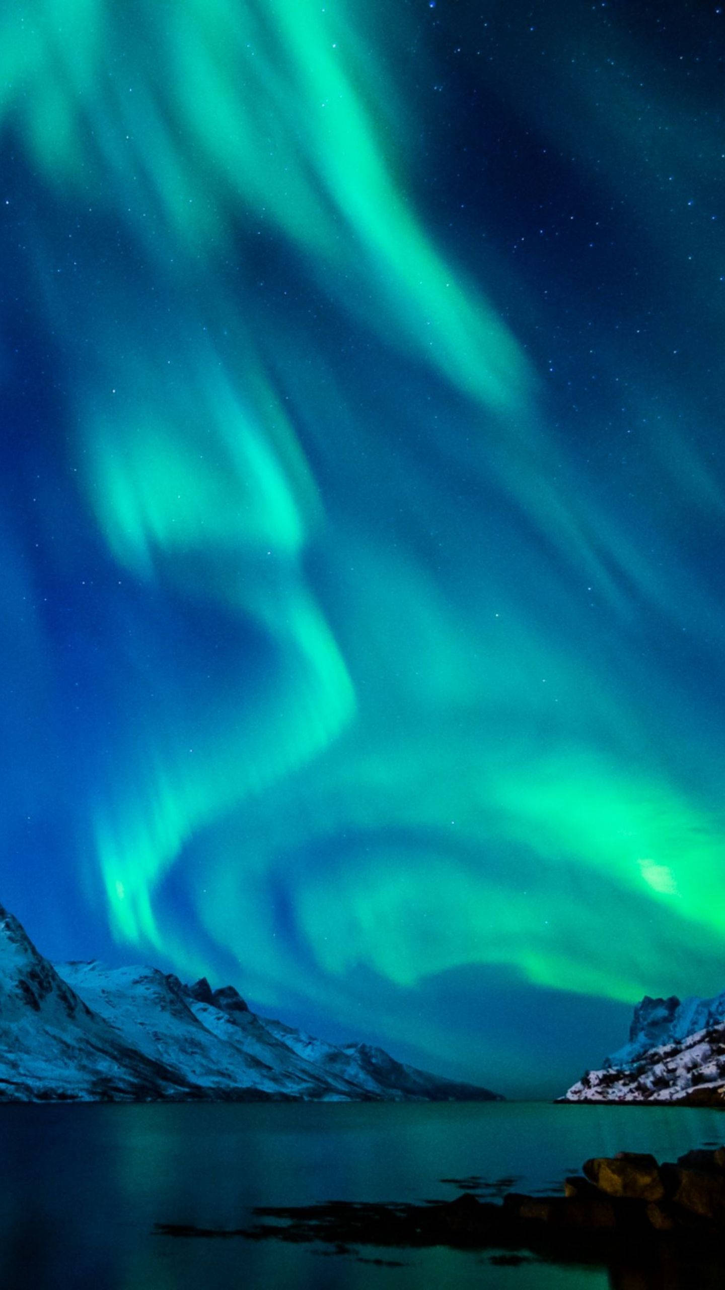 lights 桌布 壁紙 — 充滿活力的綠色北極光在繁星點點的夜空中舞動，照耀著白雪覆蓋的山脈和寧靜的反射湖。