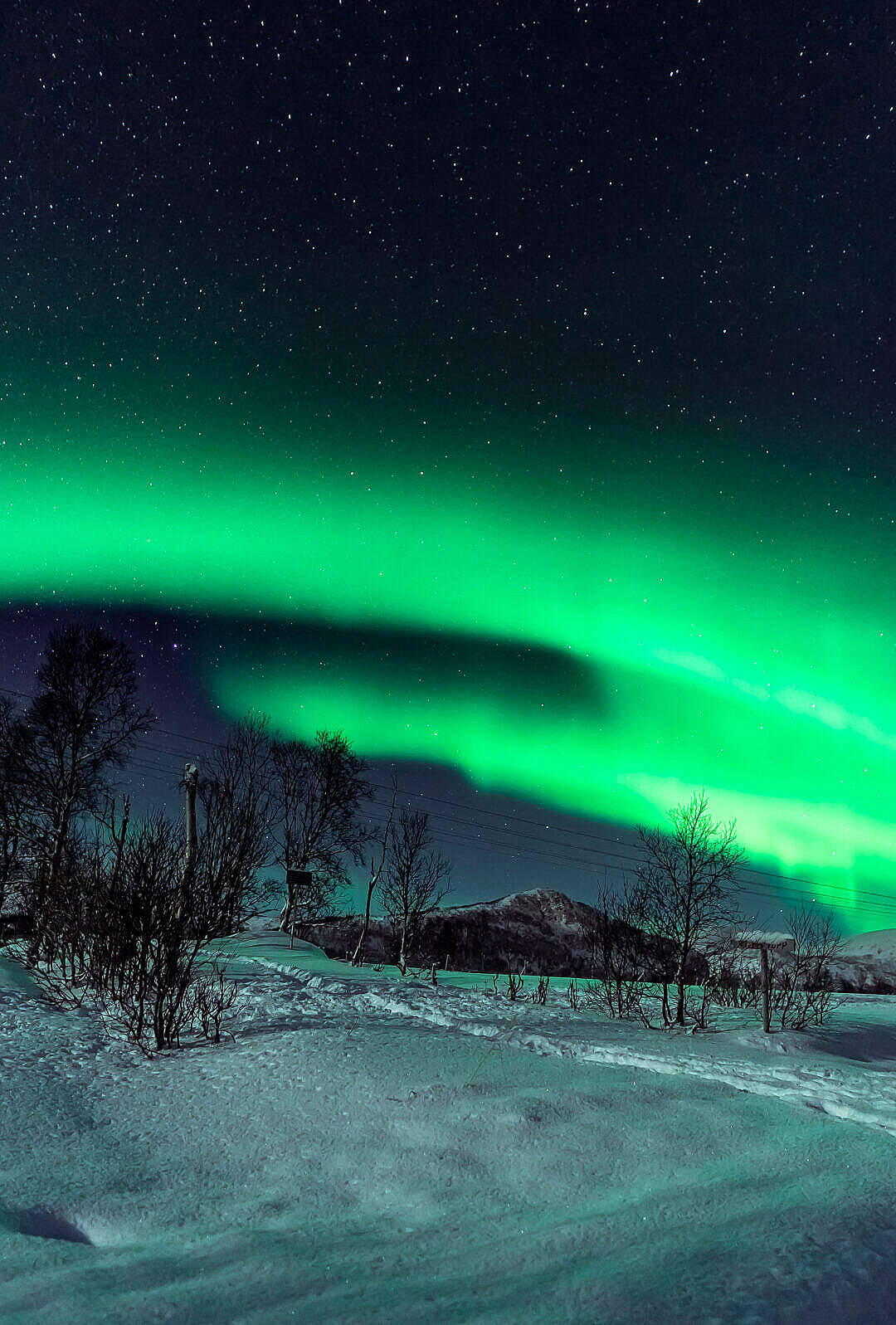 綠色北極光照亮繁星夜空下的雪景。 — 極光 壁紙
