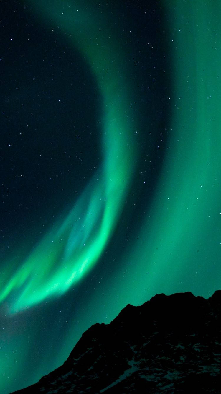 lights 桌布 壁紙 — 充滿活力的綠色北極光在黑暗山脈輪廓上方的星空夜空中舞動。