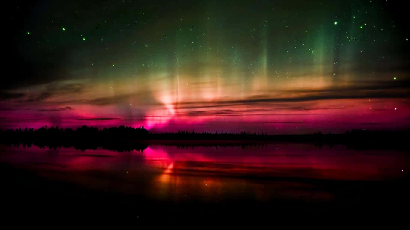 Aurora 桌布 壁紙 — 充滿活力的綠色和粉紅色北極光在繁星點點的夜空中舞動，倒映在平靜的湖面上，湖邊有黑暗的樹線輪廓。
