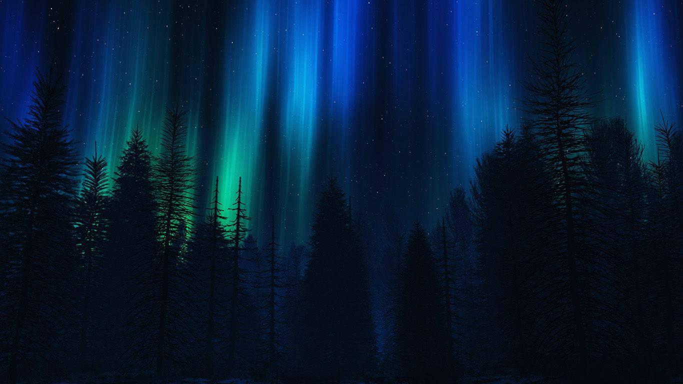 Aesthetic Dark Blue 桌布 壁紙 — 充滿活力的綠色和藍色極光在黑暗松樹林剪影上方的星空夜空中舞動。