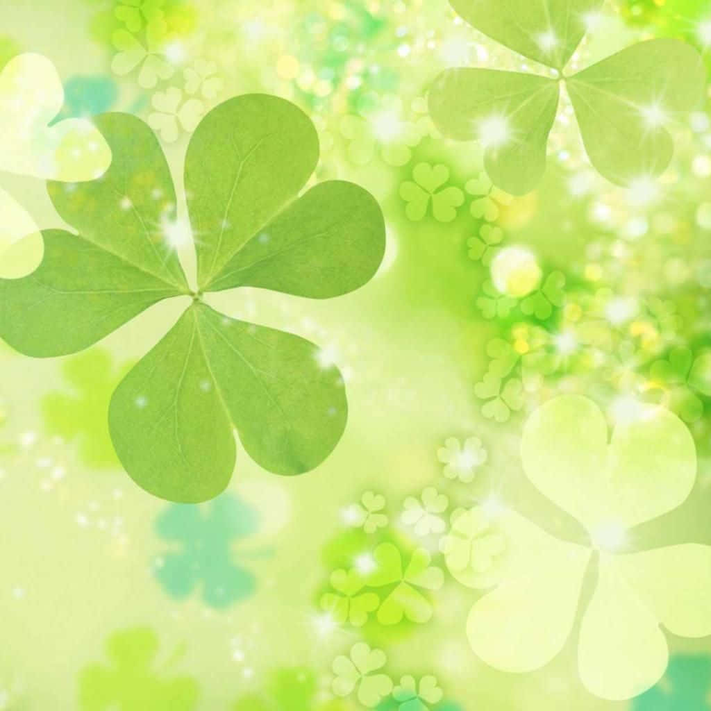 St Patrick's Day 桌布 壁紙 — 充滿活力的綠色四葉草在柔和模糊的背景上閃爍著光芒。