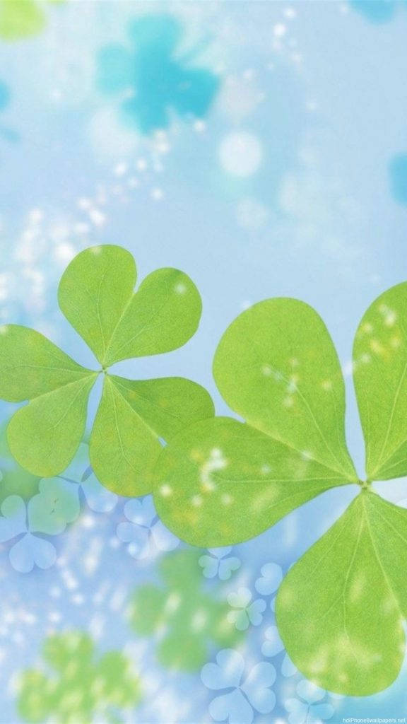 Leaves 桌布 壁紙 — 充滿活力的綠色四葉草在柔和的藍天中漂浮，帶有閃爍的光效。