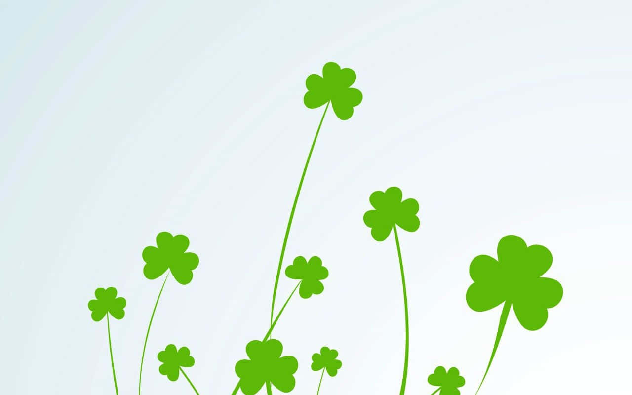 St Patrick's Day 桌布 壁紙 — 充滿活力的綠色四葉草在纖細的莖上生長，背景是柔和的漸變白色。