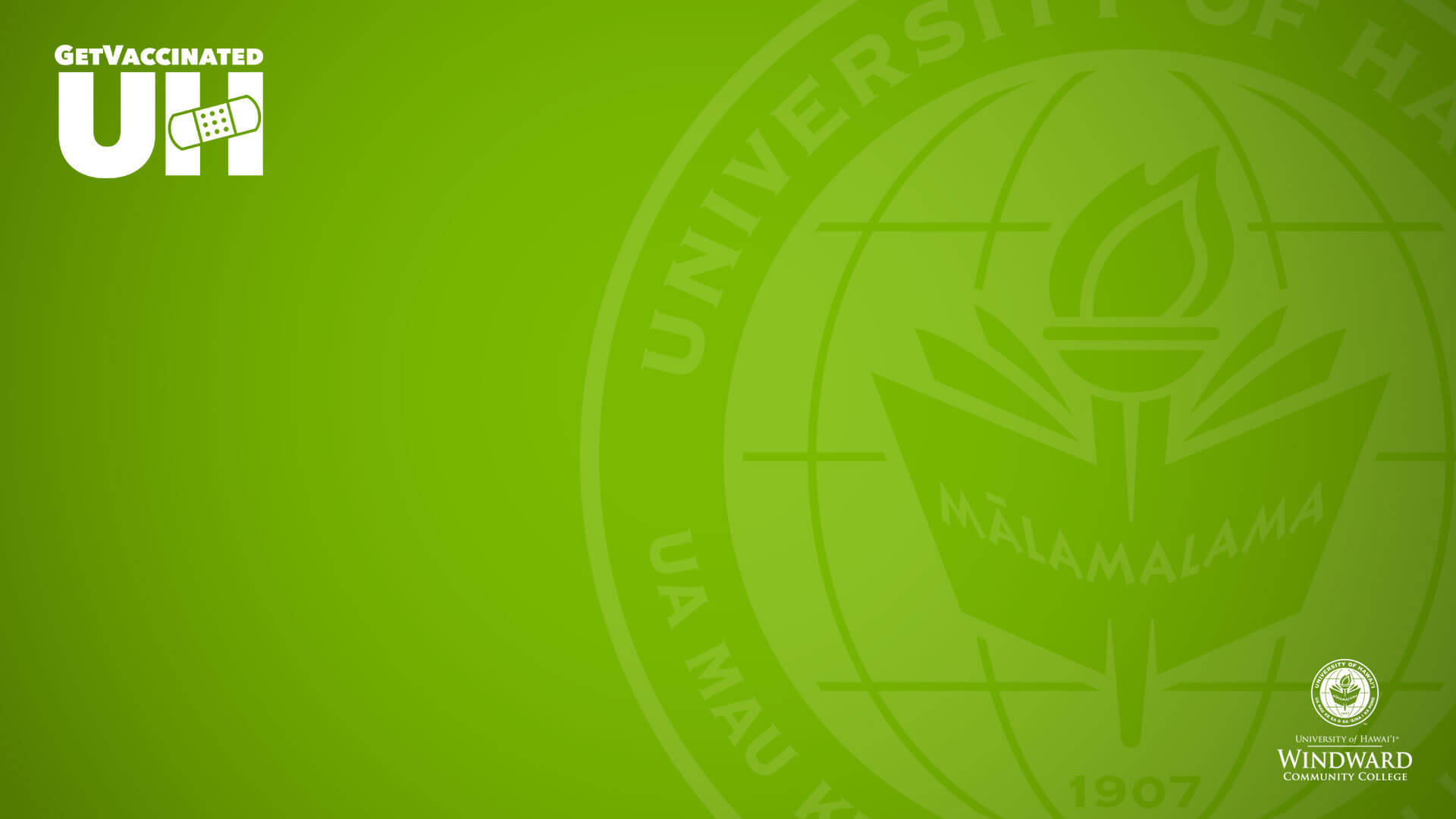  壁紙 — 充滿活力的綠色壁紙，帶有褪色的大學印章，上面有火炬和打開的書本，以及「Get Vaccinated UH」標誌和Windward Community College徽章。