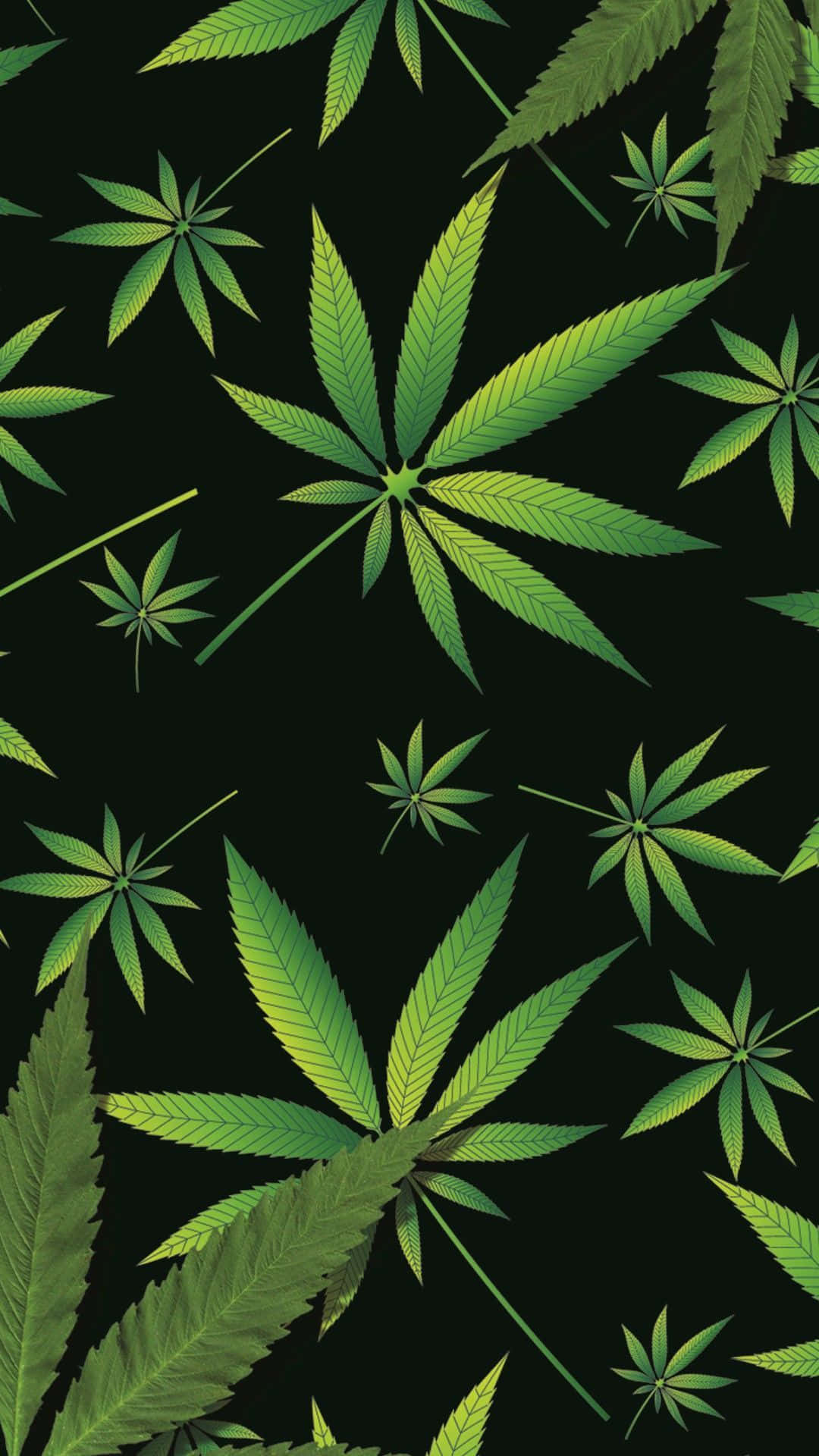 weeds 桌布 壁紙 — 充滿活力的綠色大麻葉在純黑背景上以重複圖案漂浮。