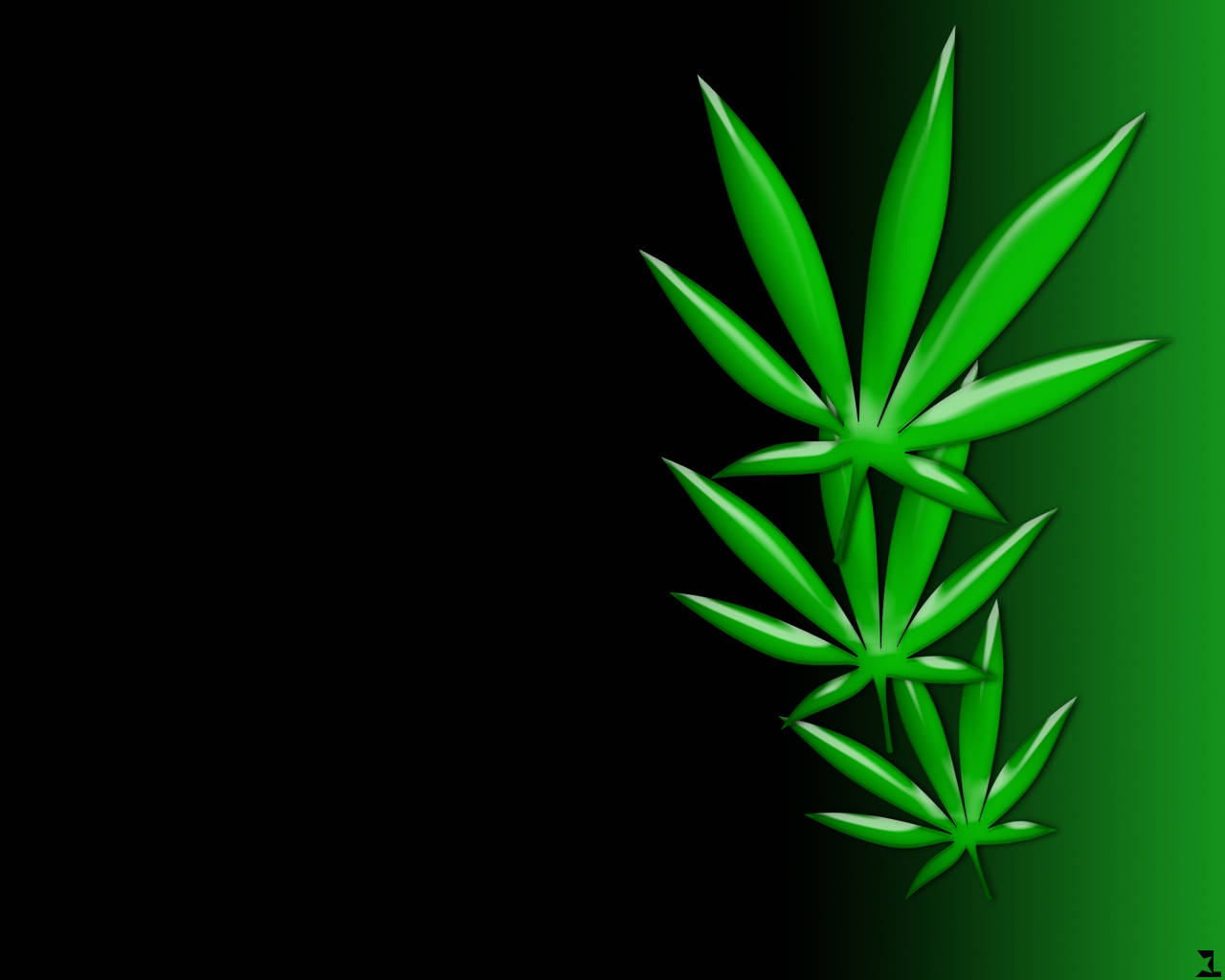 chill stoner 桌布 壁紙 — 充滿活力的綠色大麻葉在黑色到綠色的漸變背景上發光，帶有光澤高光。
