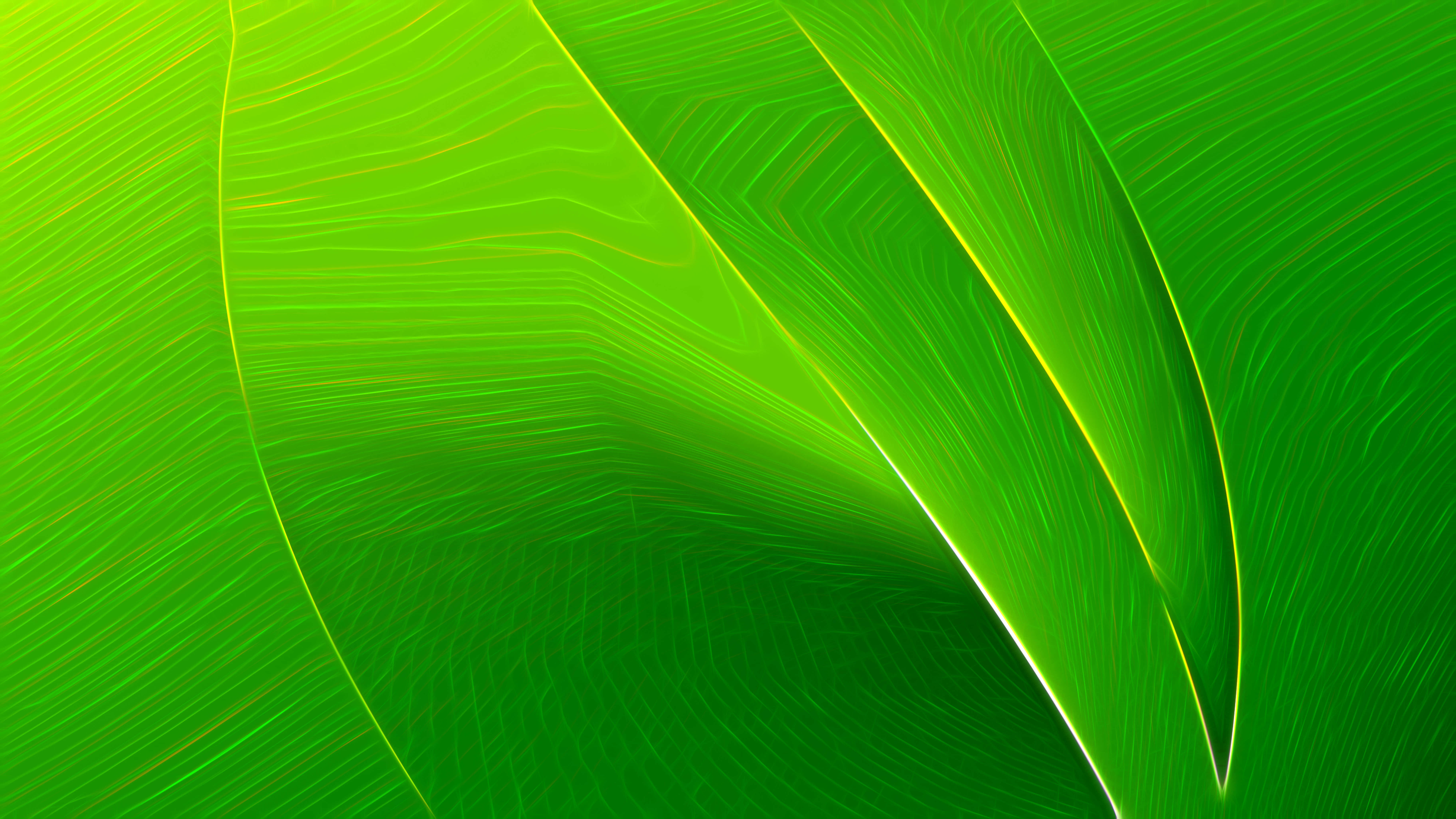 Green Texture 桌布 壁紙 — 充滿活力的綠色抽象數位藝術品，帶有流動的曲線和發光的黃色亮點。