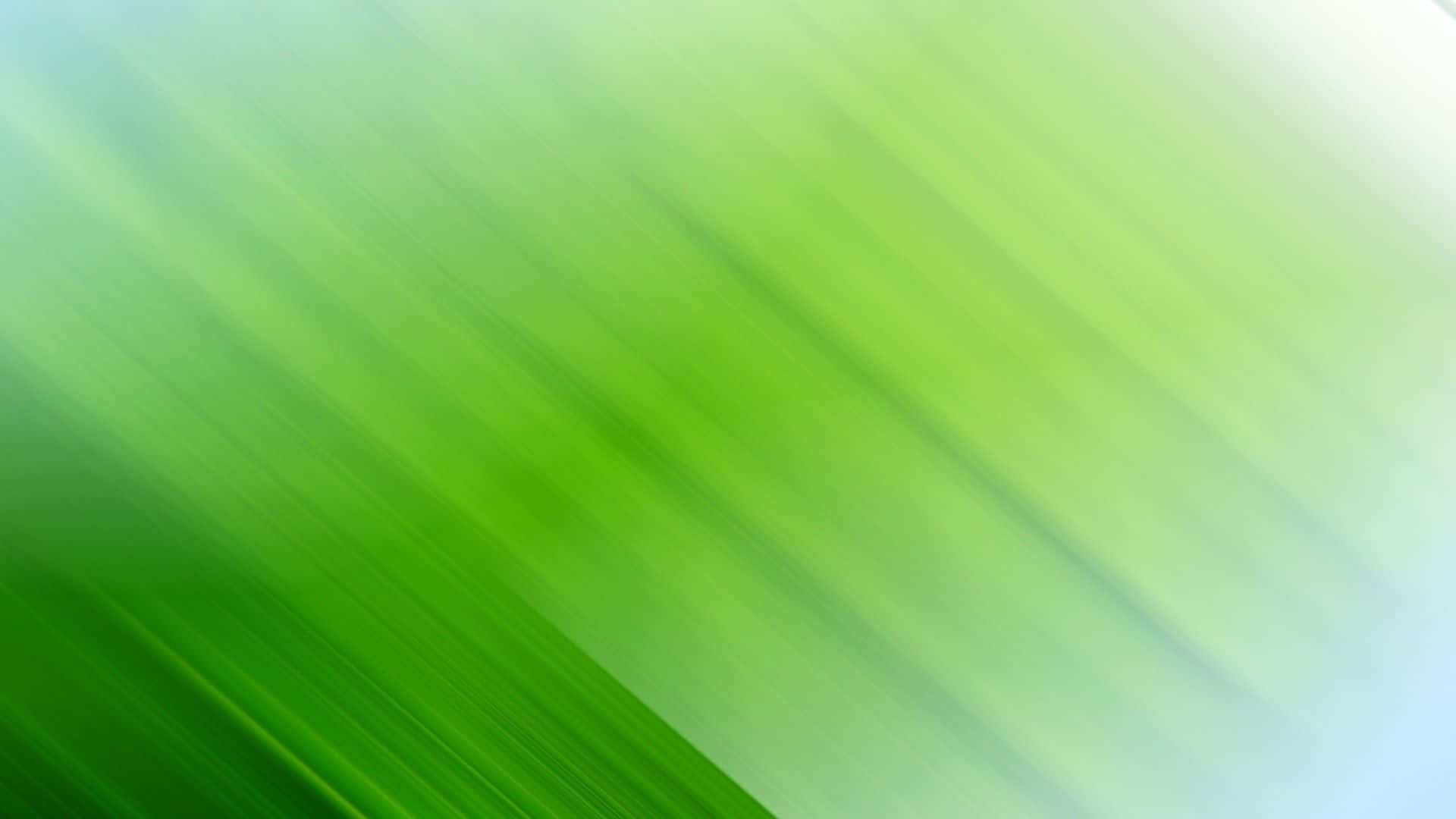 綠色抽象 桌布 壁紙 — 充滿活力的綠色抽象條紋在從深綠色到淺綠色的漸變背景上對角模糊。