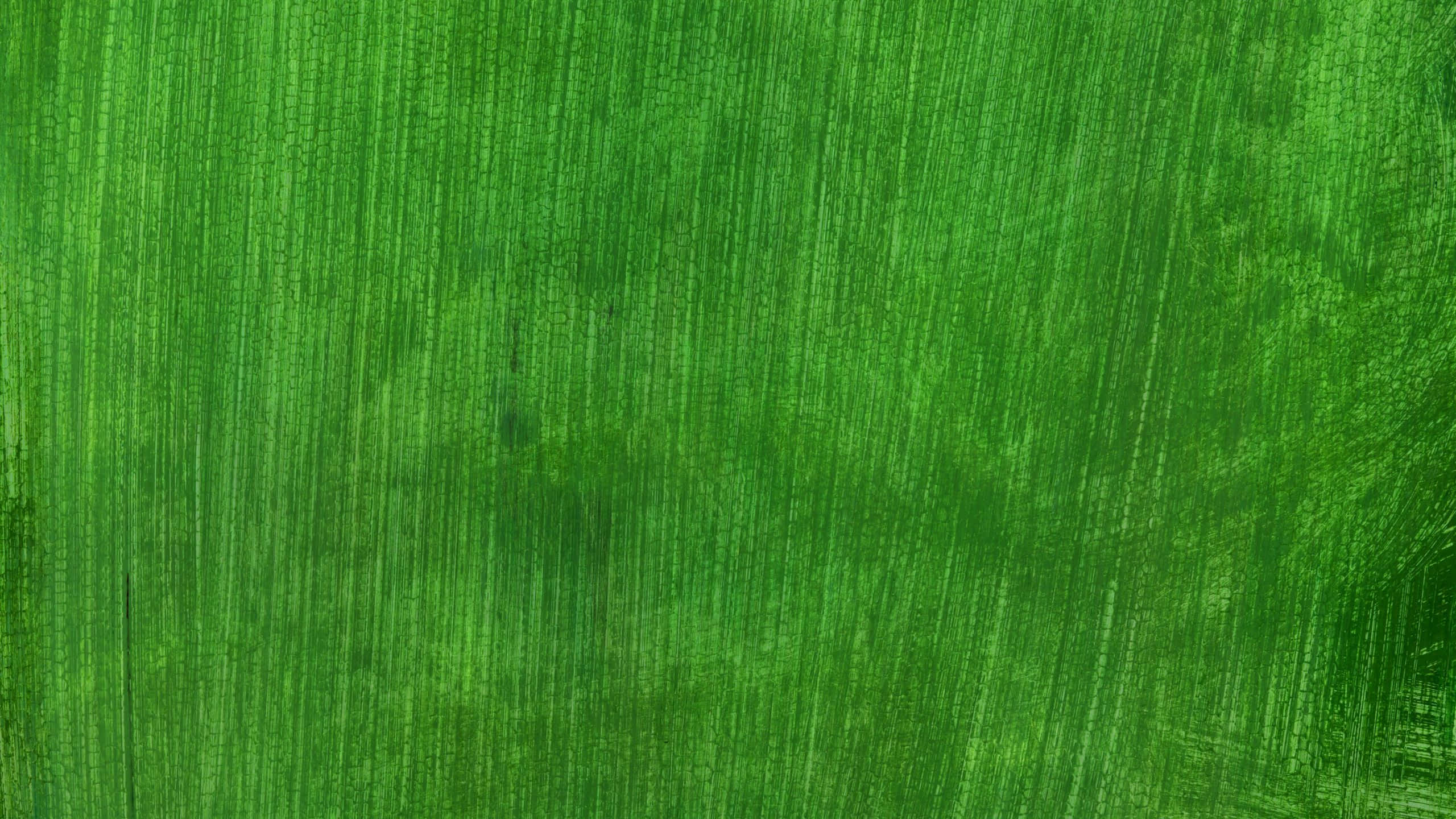 Solid Green 桌布 壁紙 — 充滿活力的綠色抽象紋理，帶有垂直筆觸圖案和微妙的色彩變化。