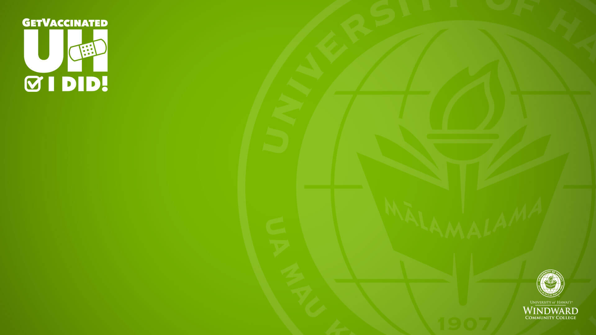 綠色背景上的夏威夷大學疫苗接種活動圖案。 — 夏威夷 壁紙