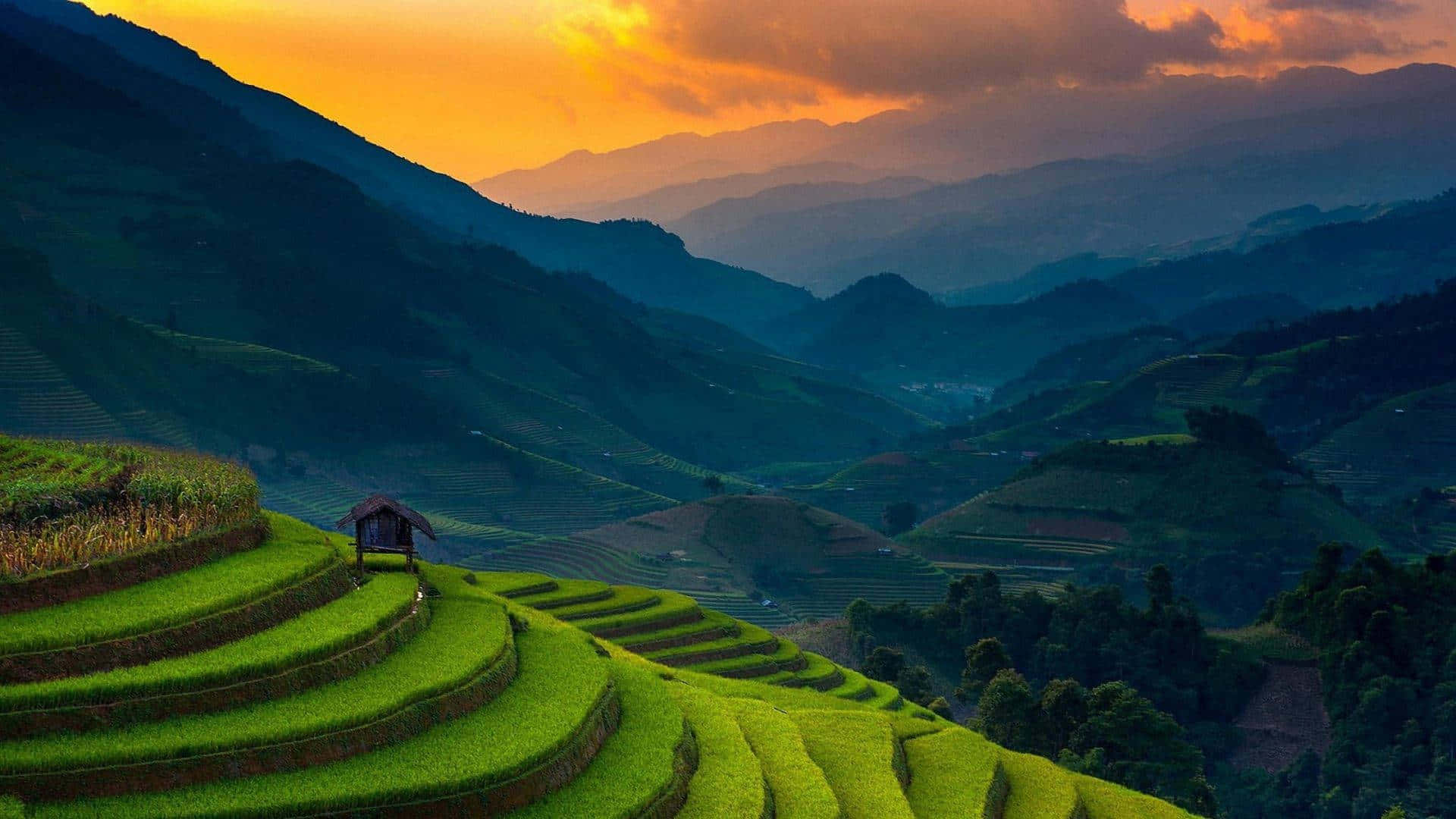 Beautiful Nature 桌布 壁紙 — 充滿活力的綠色梯田在火紅的橙色日落天空下，沿著霧濛濛的山脈層層疊疊而下。