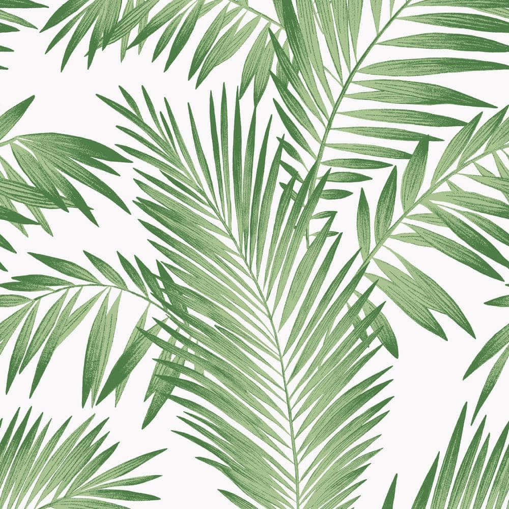 Palm 桌布 壁紙 — 充滿活力的綠色棕櫚葉，帶有細緻的葉脈，在純白背景上以重複圖案重疊。