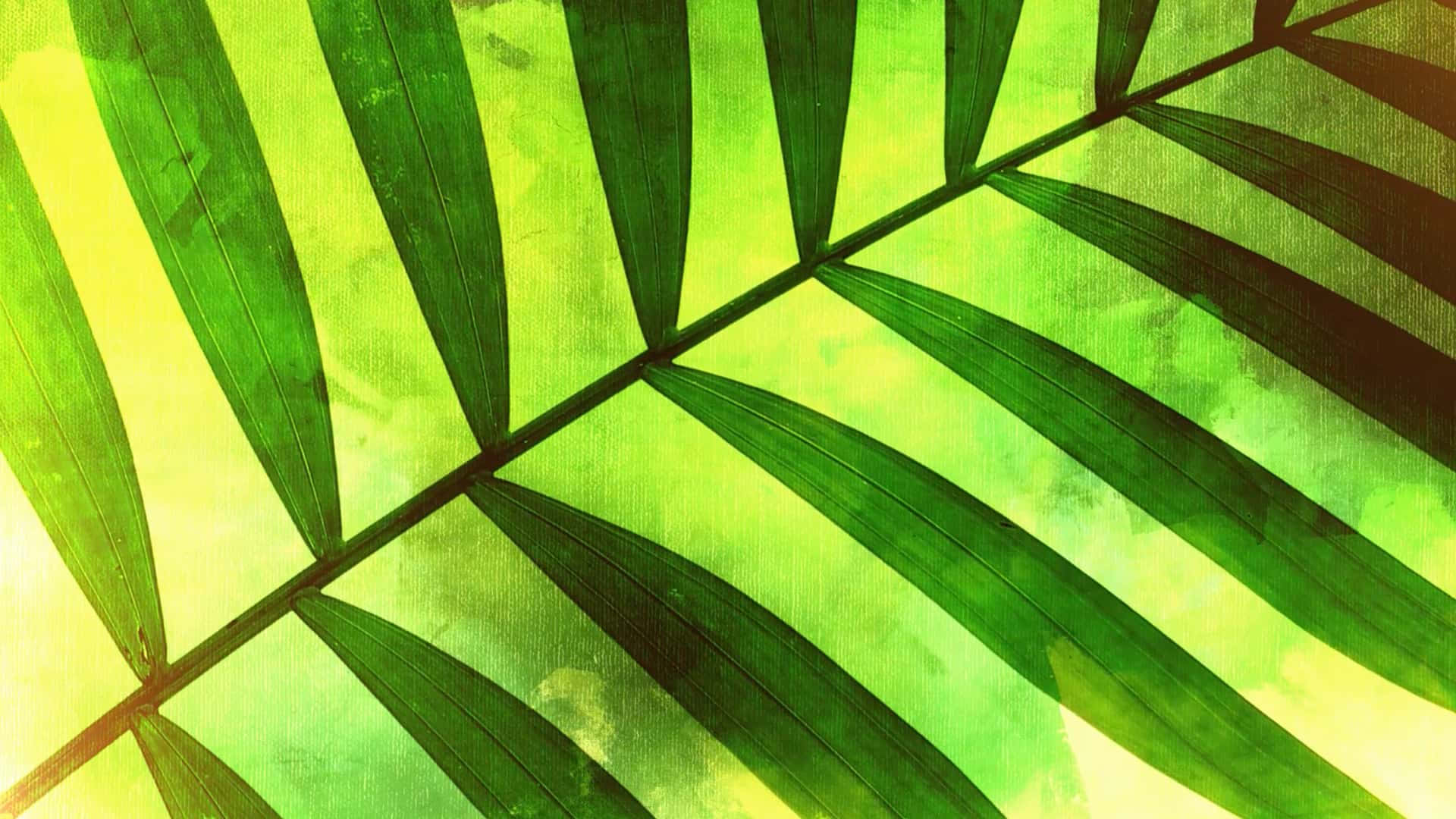 Green Leaf 桌布 壁紙 — 充滿活力的綠色棕櫚葉，葉脈在陽光照射下，背景為帶紋理的黃綠色。