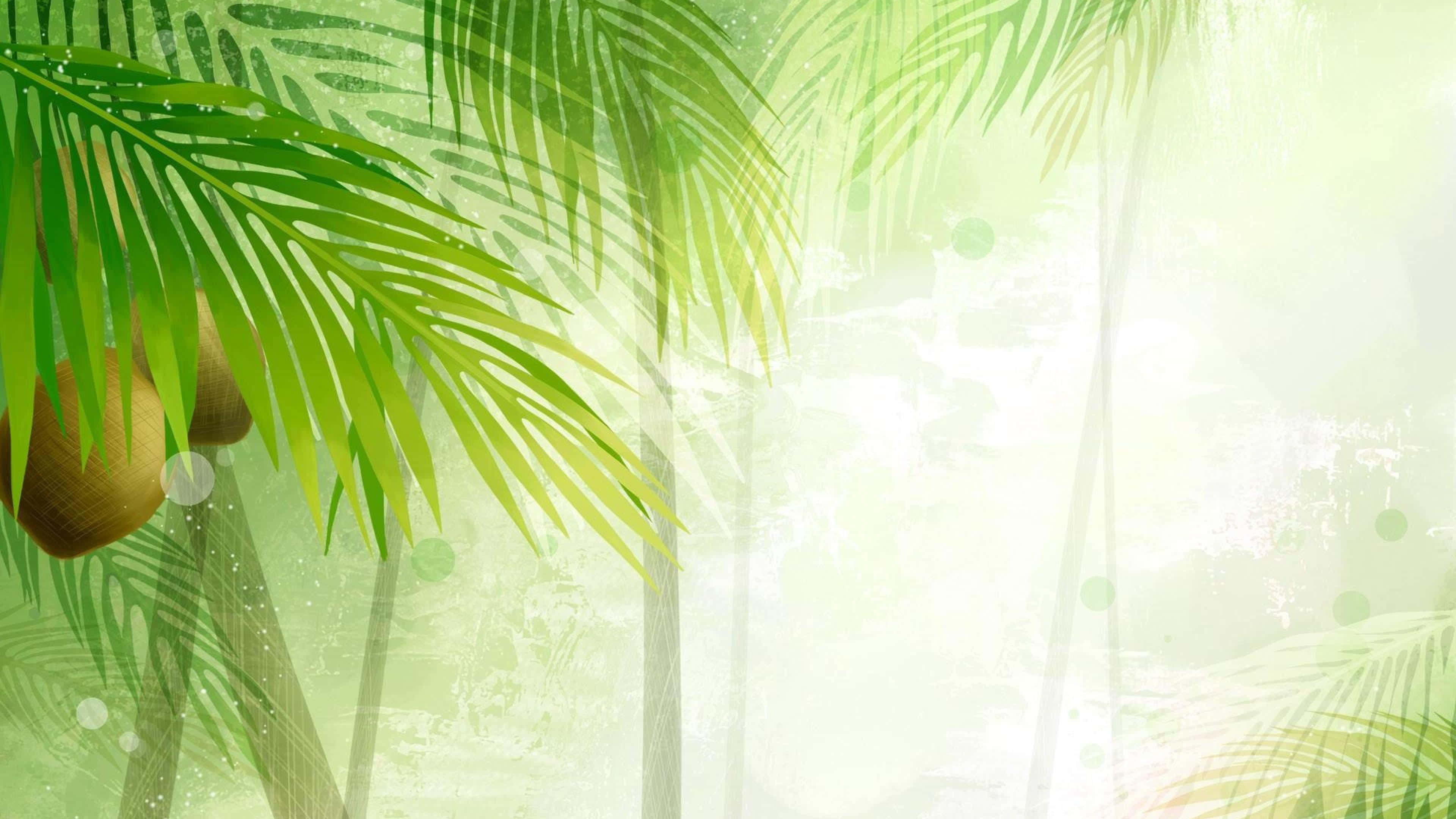 Coconut 桌布 壁紙 — 充滿活力的綠色棕櫚葉和椰子垂掛在帶有散景光效的柔軟紋理背景上。