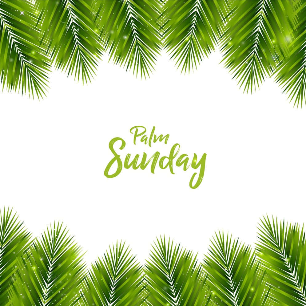 Palm Leaves 桌布 壁紙 — 充滿活力的綠色棕櫚葉框住一個白色空間，上面有流暢字體的「棕枝主日」。