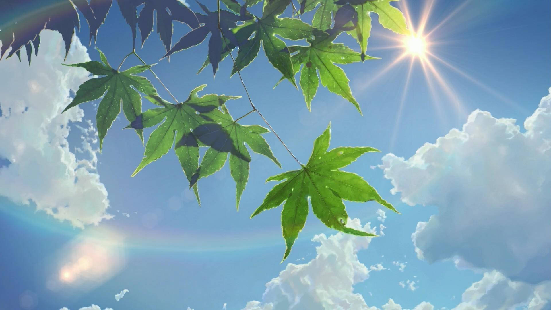 夏日美學動畫 桌布 壁紙 — 充滿活力的綠色楓葉框住明亮的太陽，背景是藍天和蓬鬆的白雲。