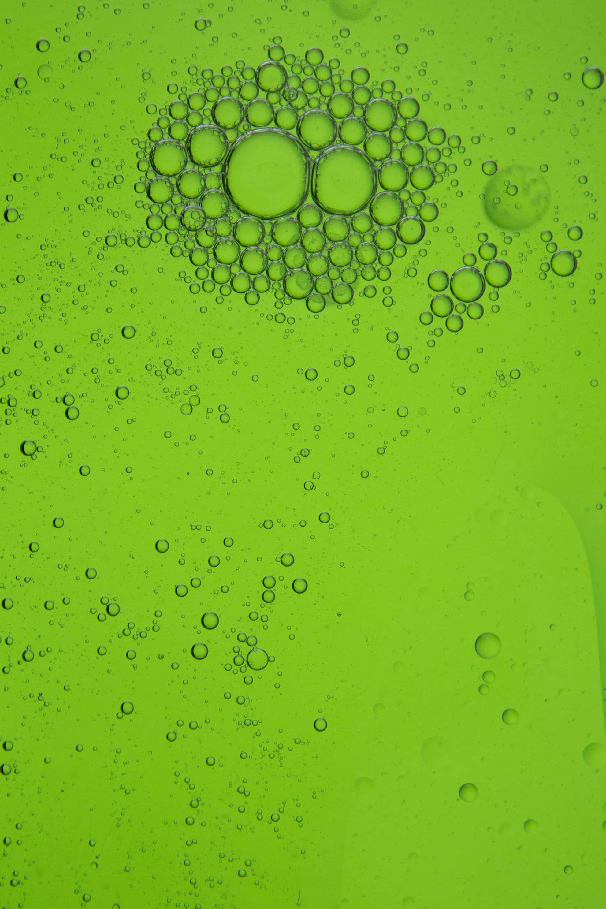 Green Texture 桌布 壁紙 — 充滿活力的綠色液體表面，點綴著無數清澈的氣泡，在中心形成密集的簇。