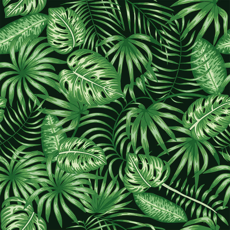 Aesthetic Leaf 桌布 壁紙 — 充滿活力的綠色熱帶葉子，帶有複雜的葉脈，在深色背景上重疊，形成茂密的叢林圖案。