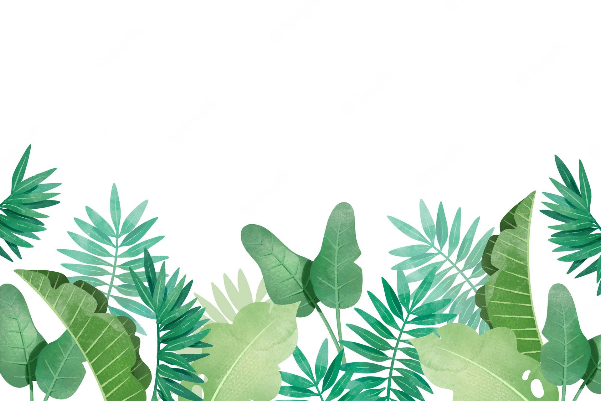 Green Leaves 桌布 壁紙 — 充滿活力的綠色熱帶葉子在乾淨的白色背景上形成茂密的邊框，採用淡彩風格。
