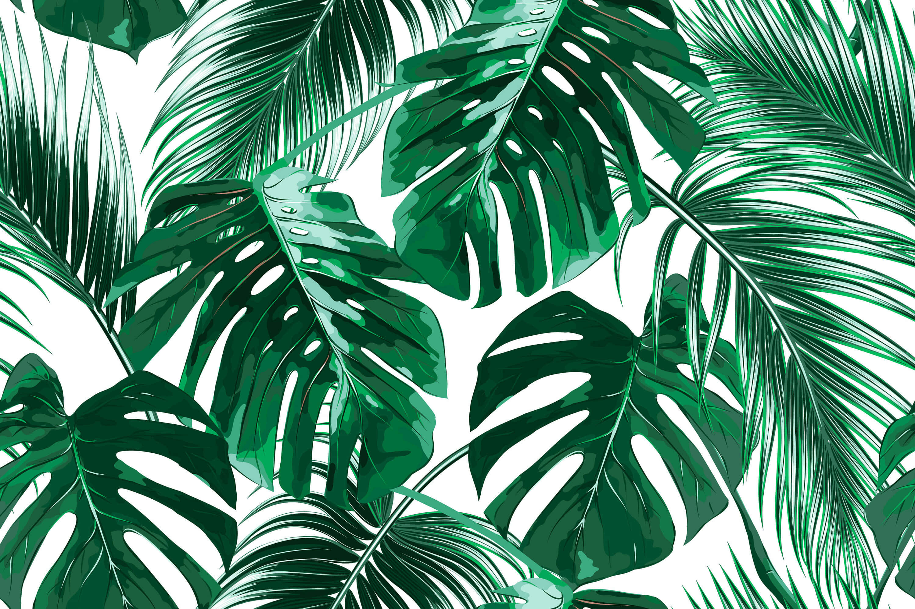 Tropical Leaves 桌布 壁紙 — 充滿活力的綠色熱帶葉片，帶有光澤高光和水滴，與潔淨的白色背景形成鮮明對比。
