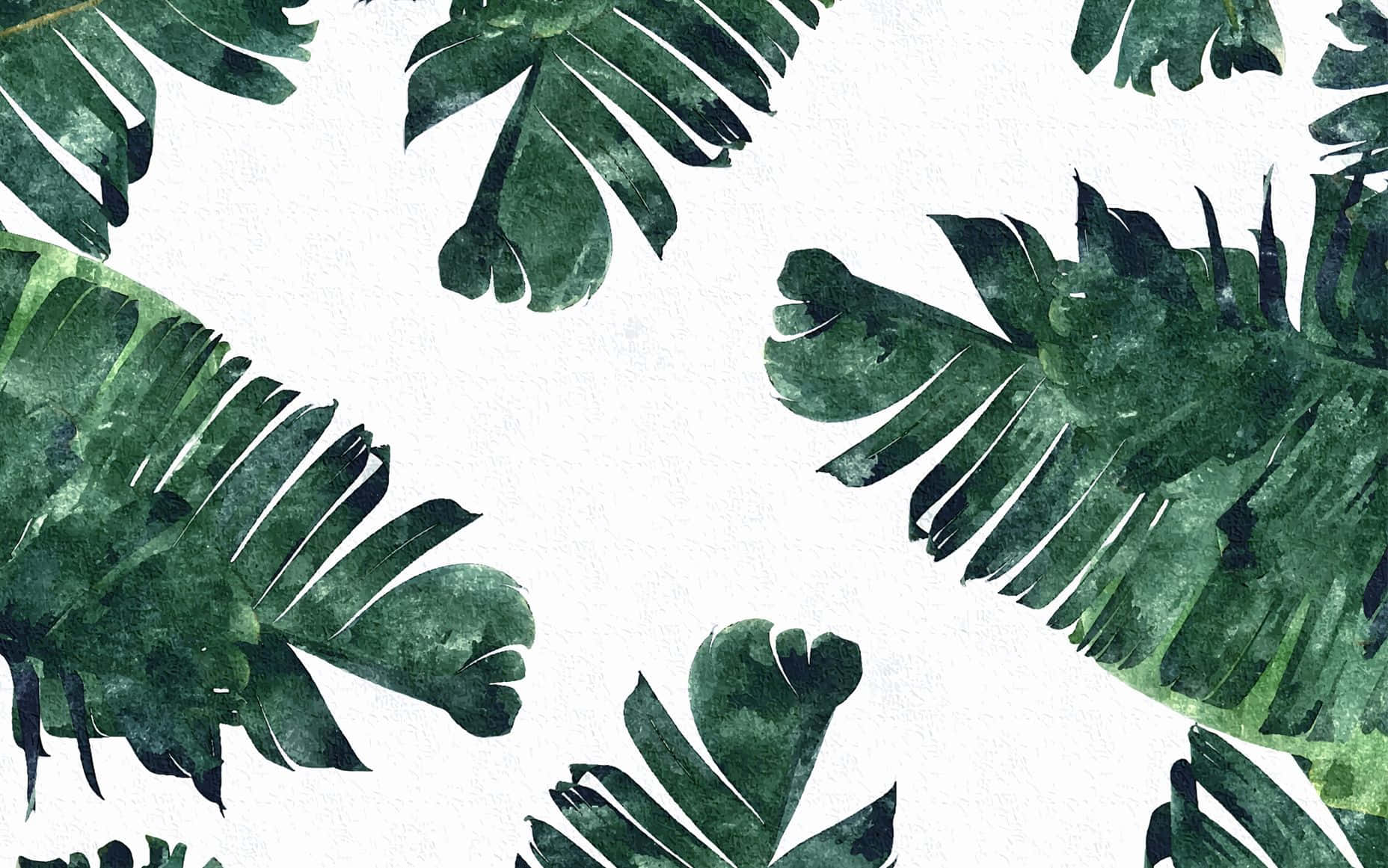 Tropical Leaves 桌布 壁紙 — 充滿活力的綠色熱帶葉片以水彩質感圍繞著明亮的白色背景，形成茂盛的植物圖案。