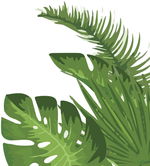 Palm Leaf 桌布 壁紙 — 充滿活力的綠色熱帶葉片帶有白色高光，在純黑色背景上以風格化插圖呈現。