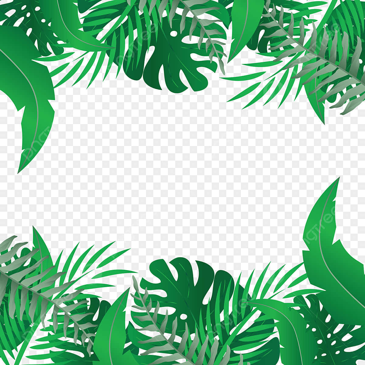 Palm Leaves 桌布 壁紙 — 充滿活力的綠色熱帶葉片形成茂密的邊框，在透明背景上框出空白中心。