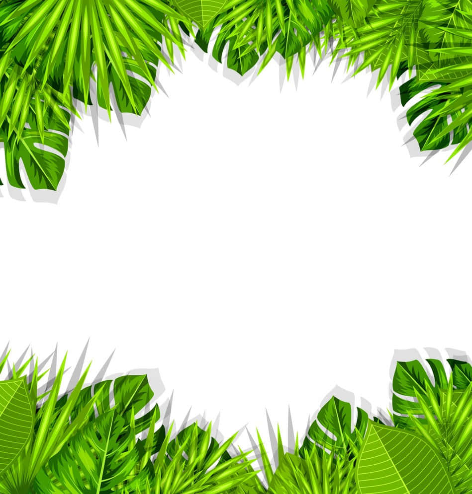 清新 桌布 壁紙 — 充滿活力的綠色熱帶葉片形成茂密的邊框，在乾淨的背景上框出一個空白的白色中心。