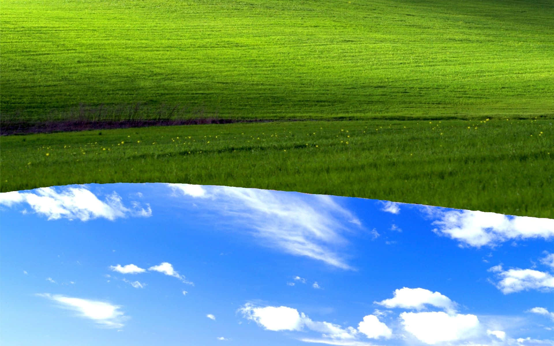 Windows XP 桌布 壁紙 — 充滿活力的綠色田野與明亮的藍天和蓬鬆的白雲在超現實的分割地平線上相遇。