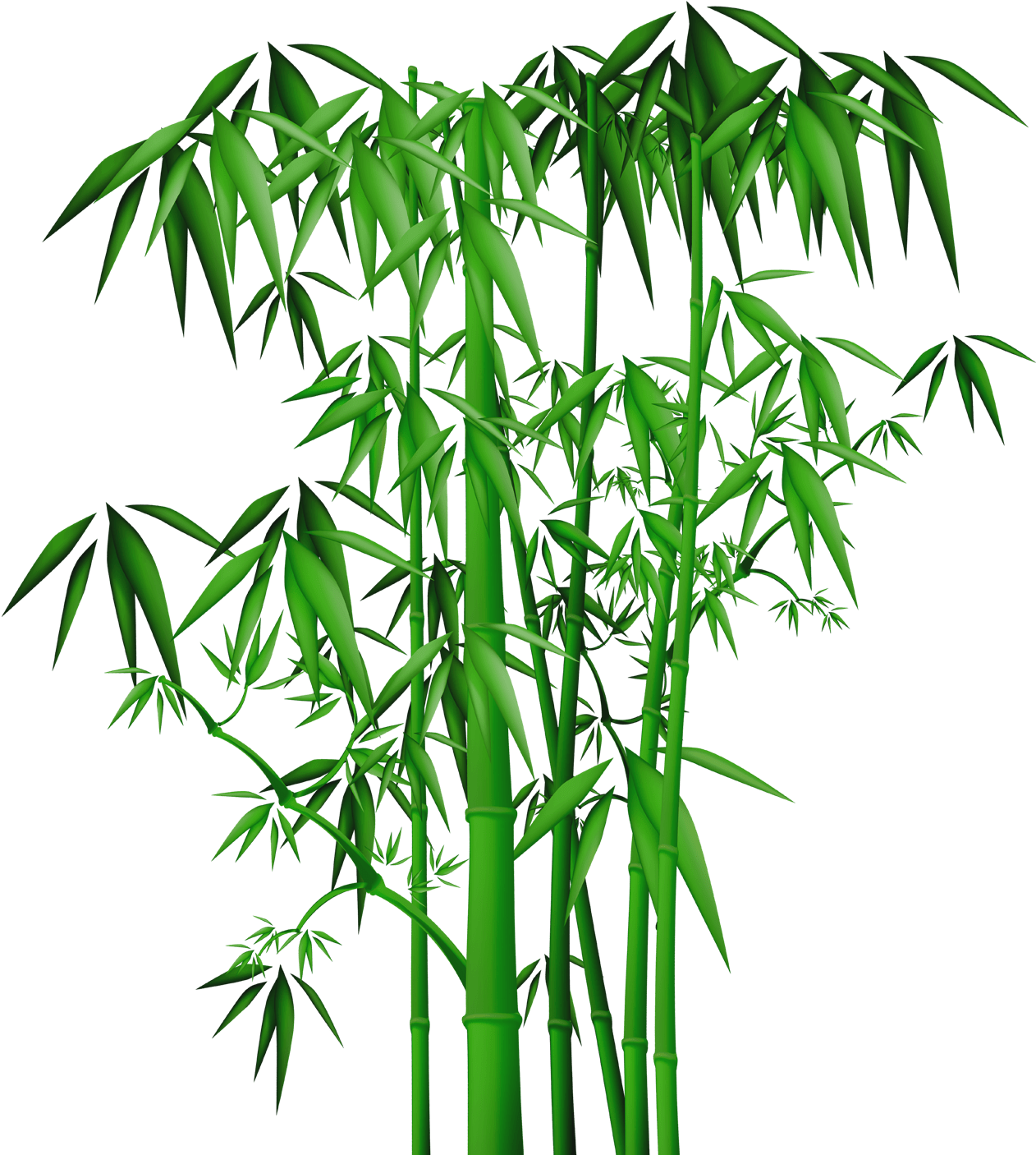 竹子 桌布 壁紙 — 充滿活力的綠色竹莖，帶有細緻的葉子，在純黑色背景上高高聳立。
