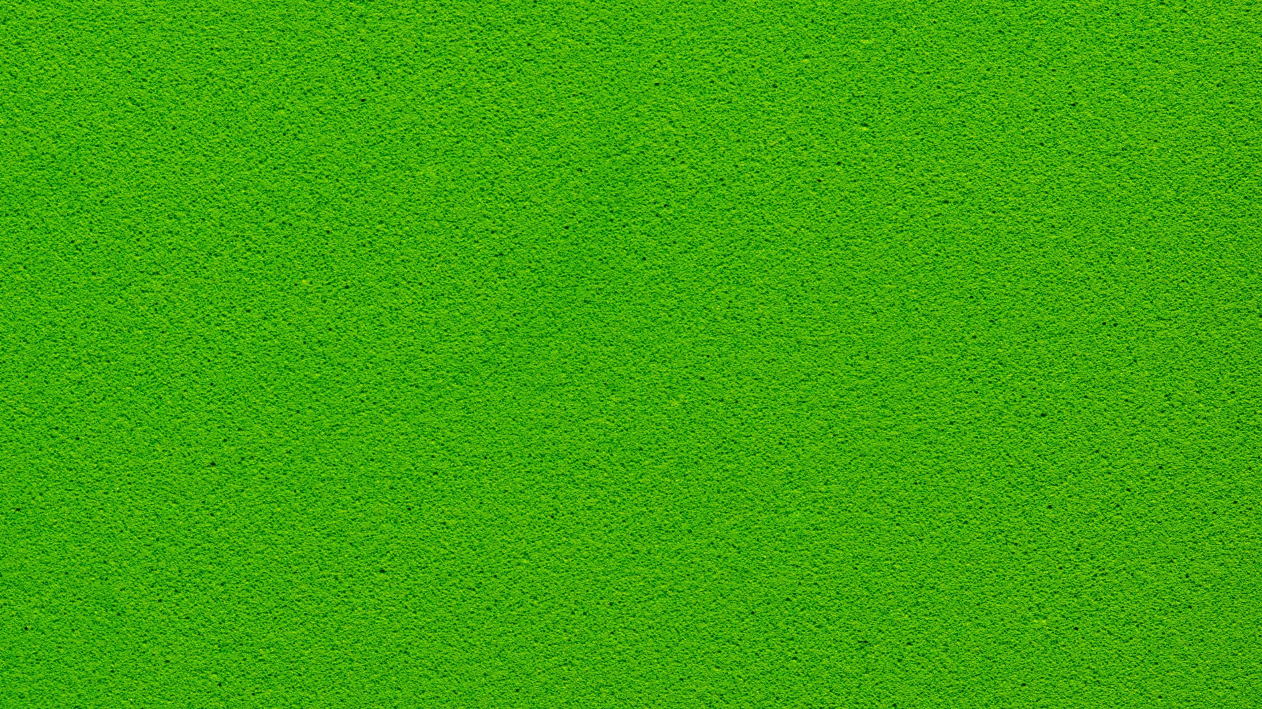 Solid Green 桌布 壁紙 — 充滿活力的綠色紋理表面，帶有均勻的斑點圖案，類似人造草皮或濃密的苔蘚。