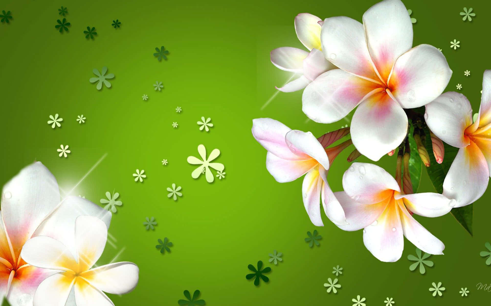 Best Flowers 桌布 壁紙 — 充滿活力的綠色背景，點綴著精緻的白色雞蛋花和散落的紙剪花圖案。
