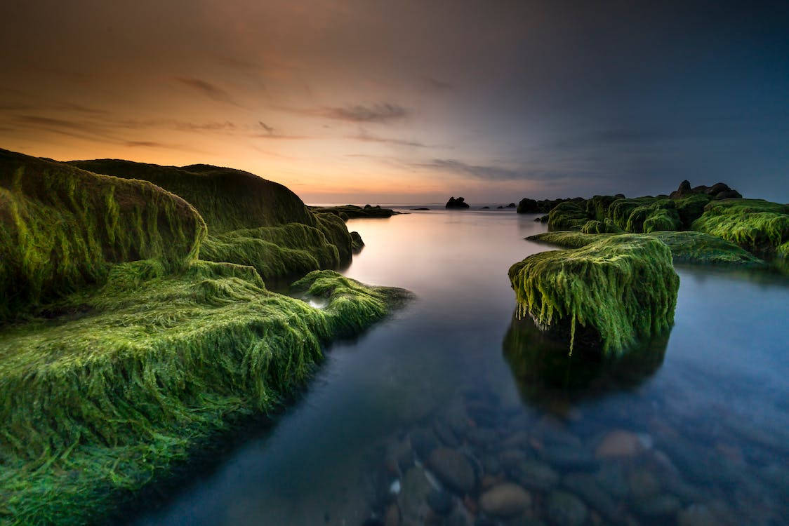 Facebook Cover 桌布 壁紙 — 充滿活力的綠色苔蘚覆蓋著崎嶇的海岸岩石，平靜的水面反射出柔和橙色和藍色的黃昏天空。