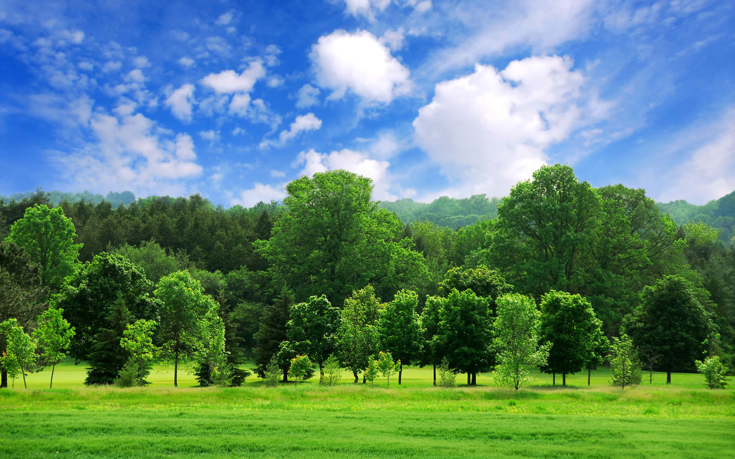 Green Landscape 桌布 壁紙 — 充滿活力的綠色草地，點綴著樹木，在明亮的藍天下有蓬鬆的白雲。