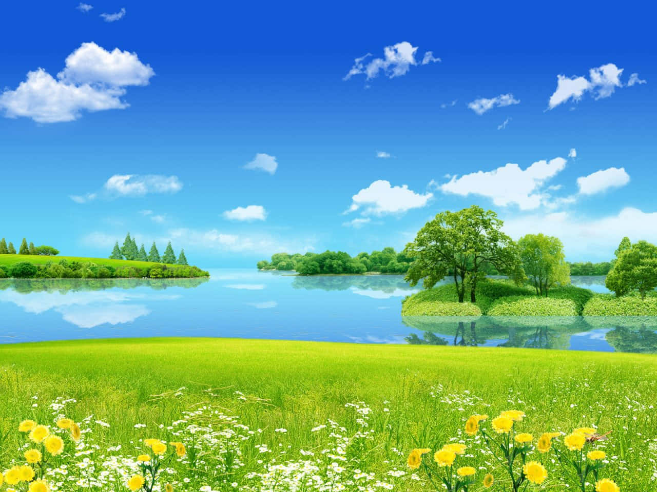 風景 桌布 壁紙 — 充滿活力的綠色草地，點綴著黃色和白色的野花，毗鄰平靜的藍色湖泊，上方是明亮的藍天和蓬鬆的白雲。