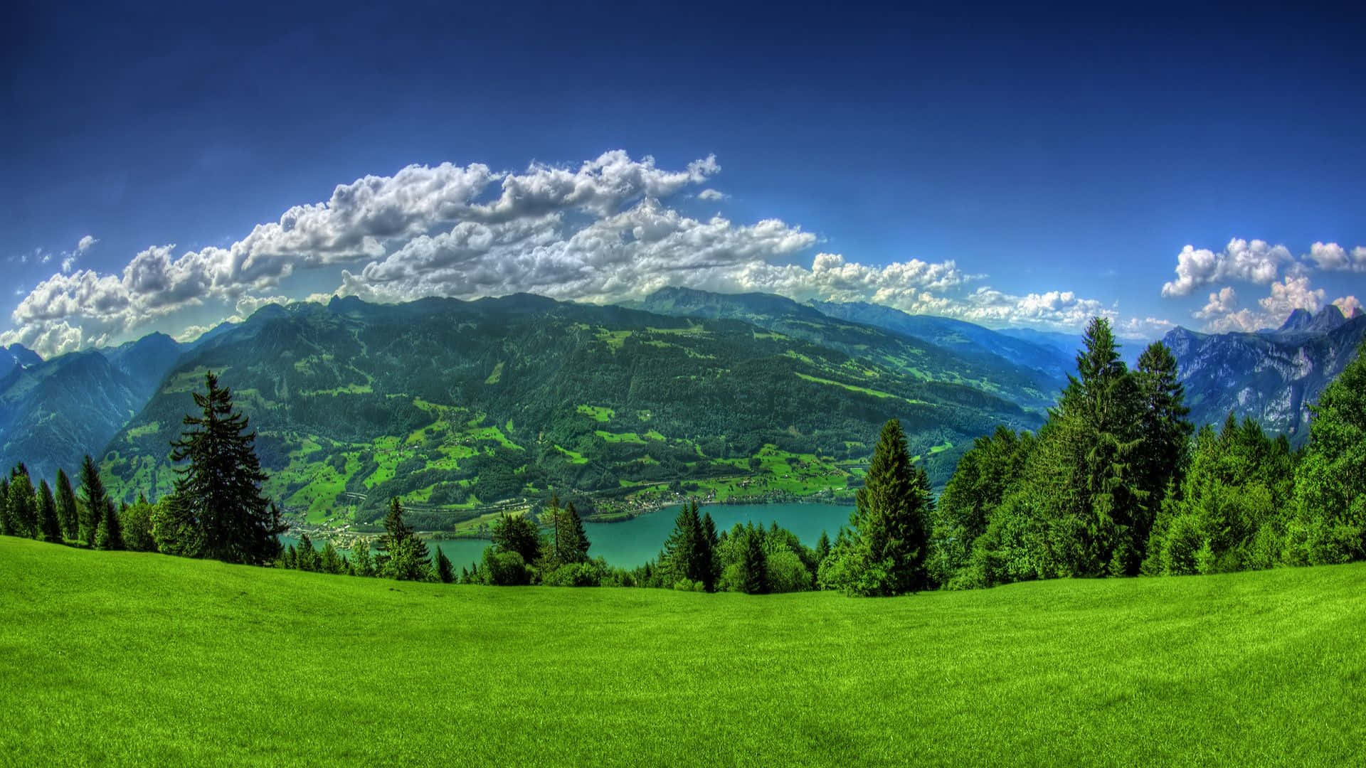screensaver 桌布 壁紙 — 充滿活力的綠色草地向下傾斜，延伸到一個寧靜的湖泊，湖泊坐落在森林覆蓋的山脈之間，上方是明亮的藍天和蓬鬆的白雲。