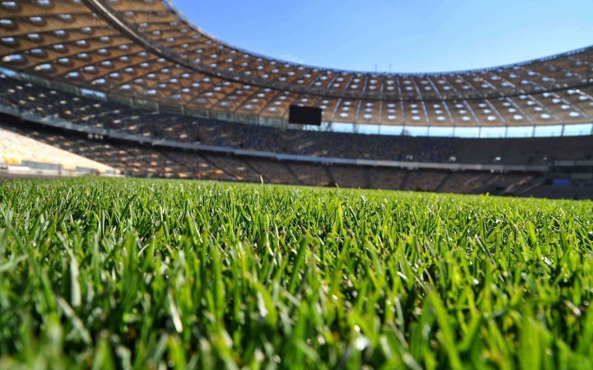 Football Field 桌布 壁紙 — 充滿活力的綠色草葉向著現代體育場陽光普照、空蕩蕩的彎曲屋頂伸展。