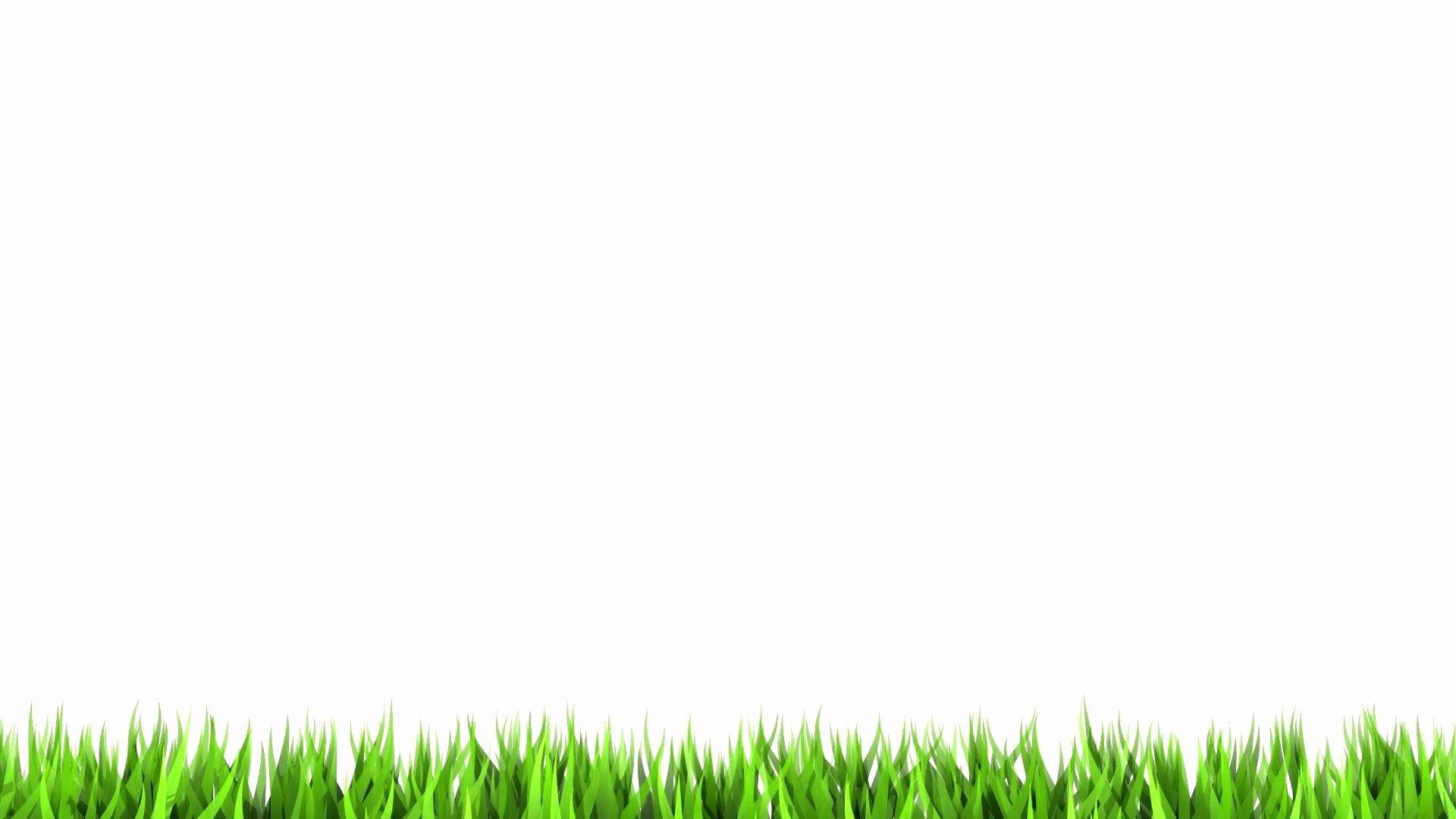 White Screen 桌布 壁紙 — 充滿活力的綠色草葉在純白色背景上形成乾淨的邊框。