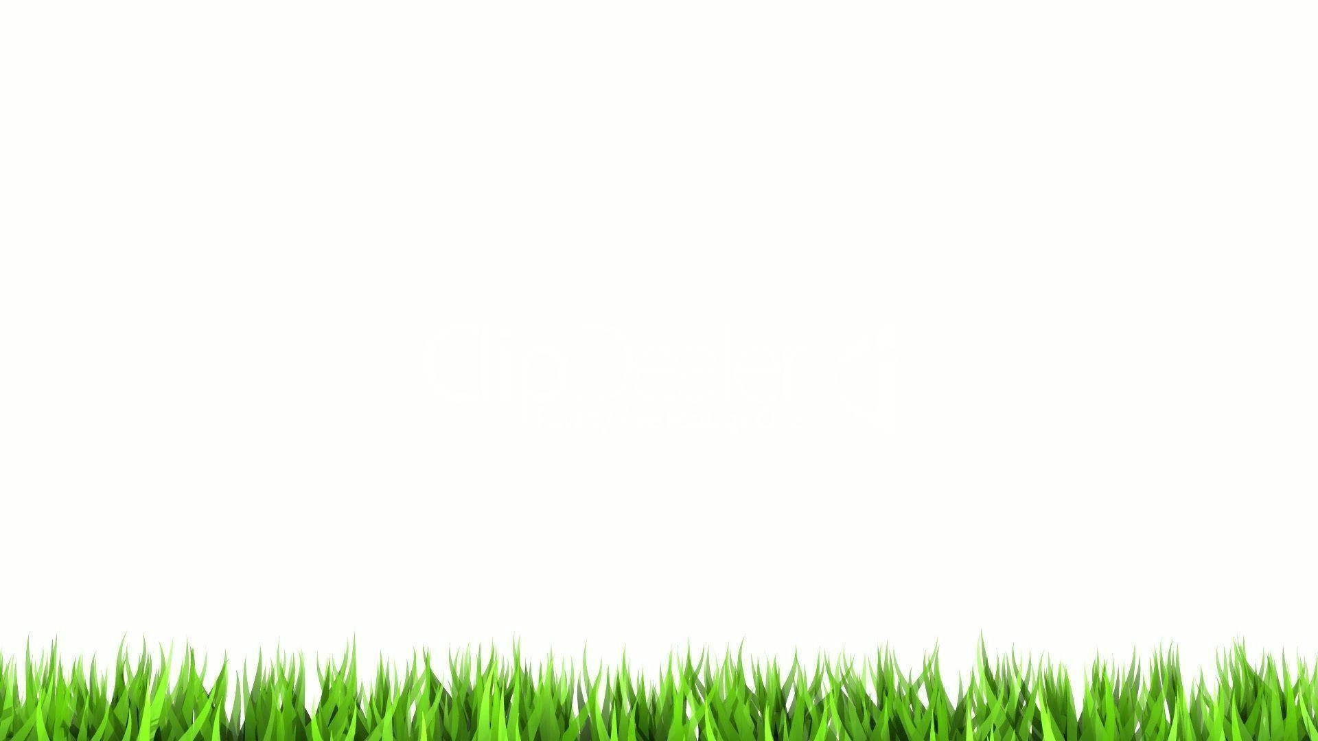 Grass 桌布 壁紙 — 充滿活力的綠色草葉在純白色背景上形成乾淨的邊框。