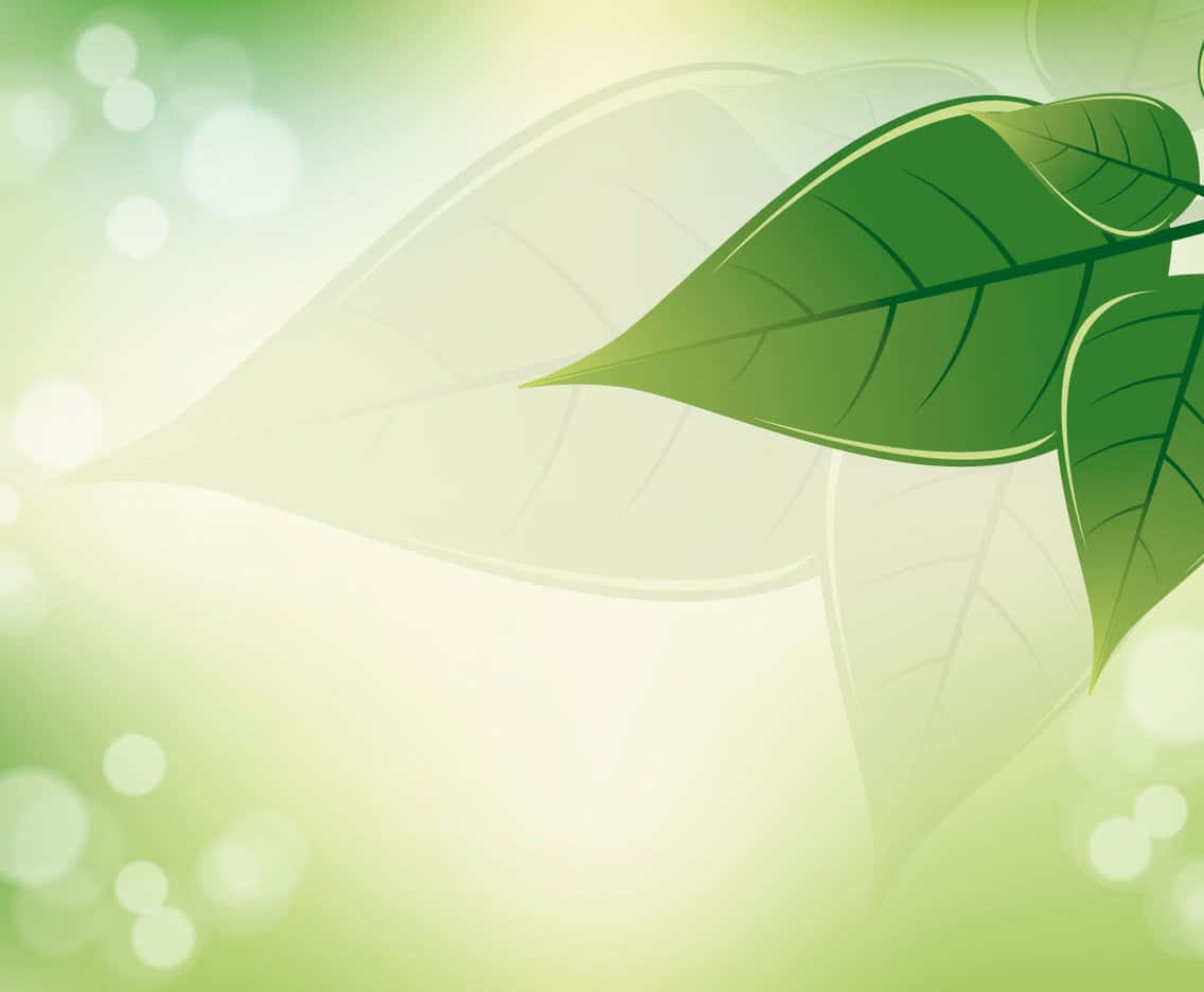 leafy 桌布 壁紙 — 充滿活力的綠色葉子在柔和發光的背景和散景光效中優雅地漂浮。