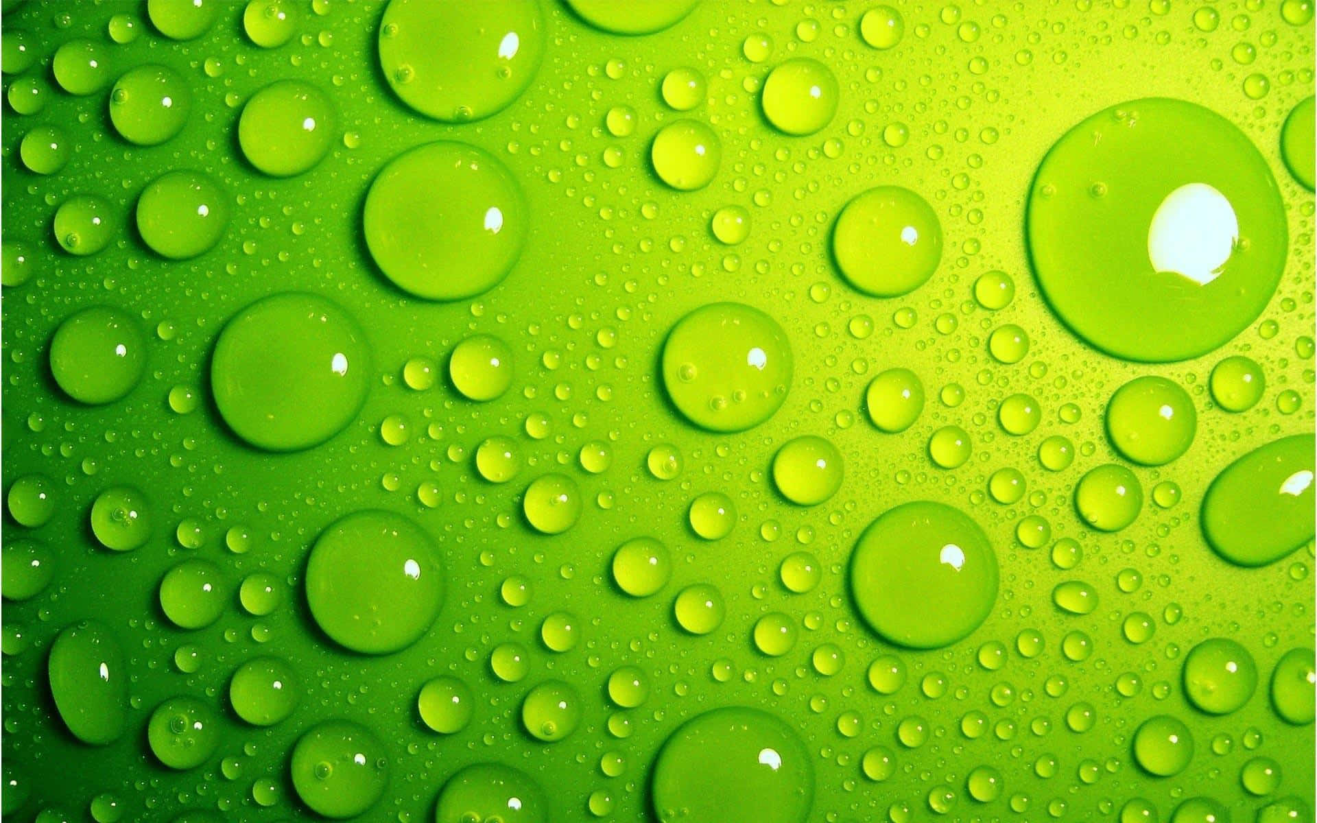 Water Drops 桌布 壁紙 — 充滿活力的綠色表面，覆蓋著閃閃發光的水滴，以不同大小和清晰度反射光線。