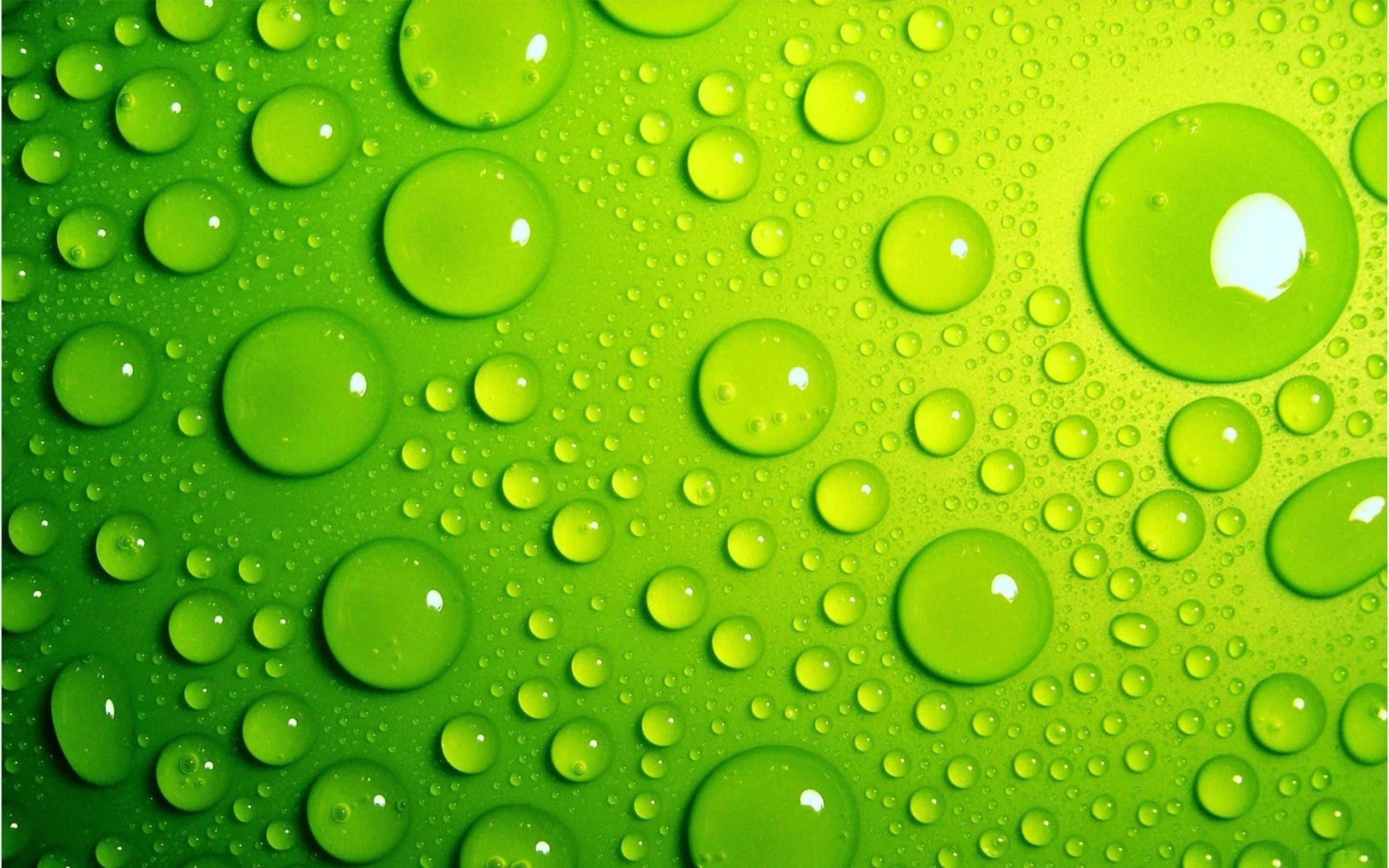 Green Texture 桌布 壁紙 — 充滿活力的綠色表面，覆蓋著閃閃發光的水滴，以不同大小反射光線。