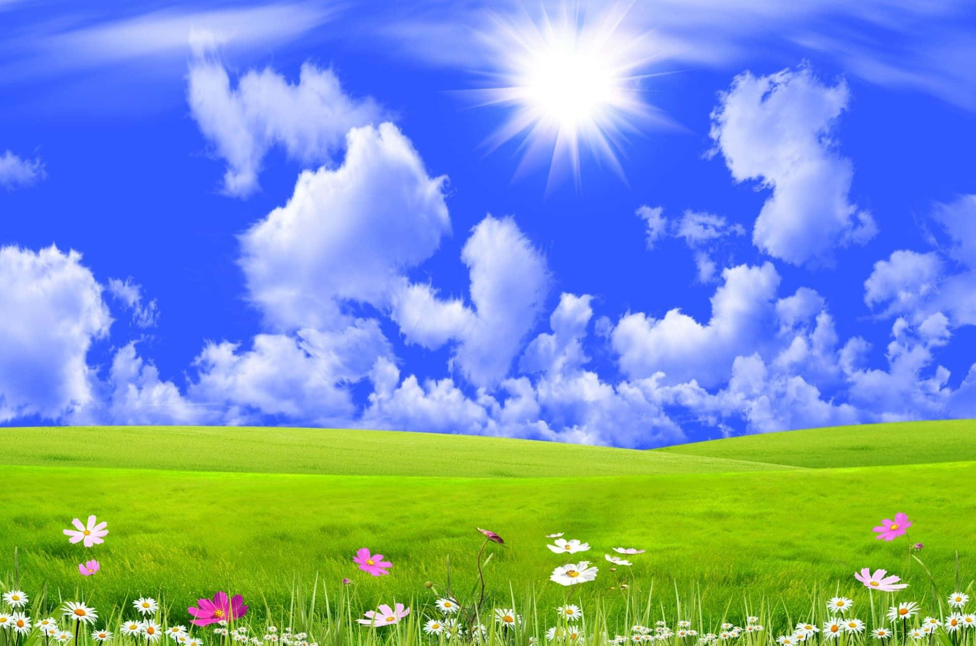 Beautiful Sky 桌布 壁紙 — 充滿活力的綠色起伏山丘，點綴著粉紅色和白色的野花，在燦爛的藍天下，有蓬鬆的雲朵和燦爛的太陽。