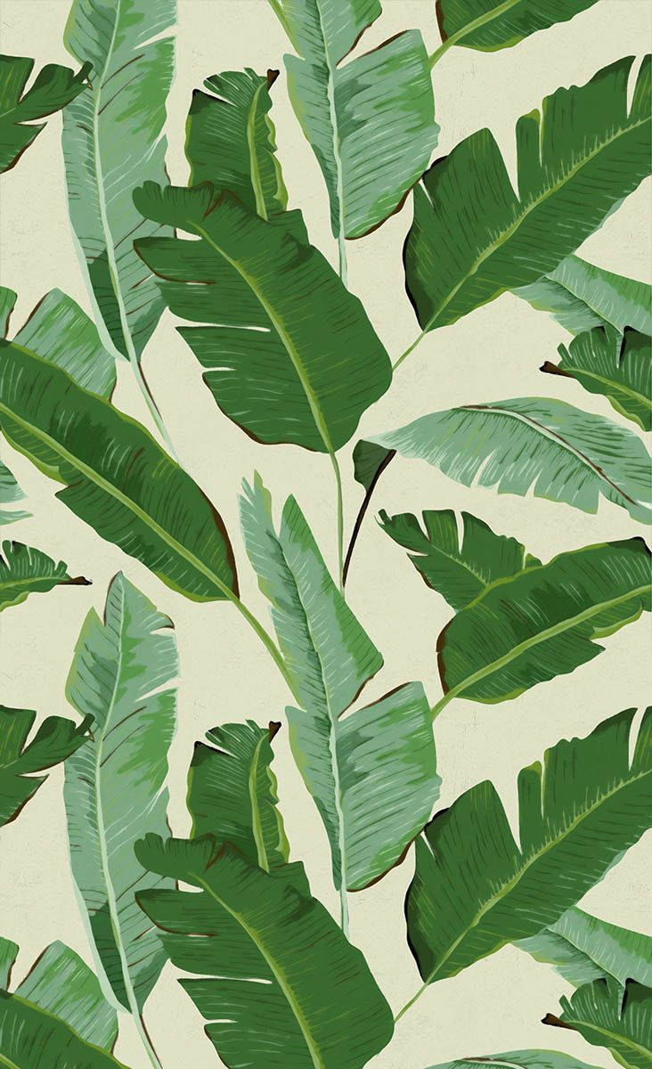 Banana Leaf 桌布 壁紙 — 充滿活力的綠色香蕉葉，帶有細緻的葉脈，在柔和的奶油色背景上重疊，形成茂盛的熱帶圖案。