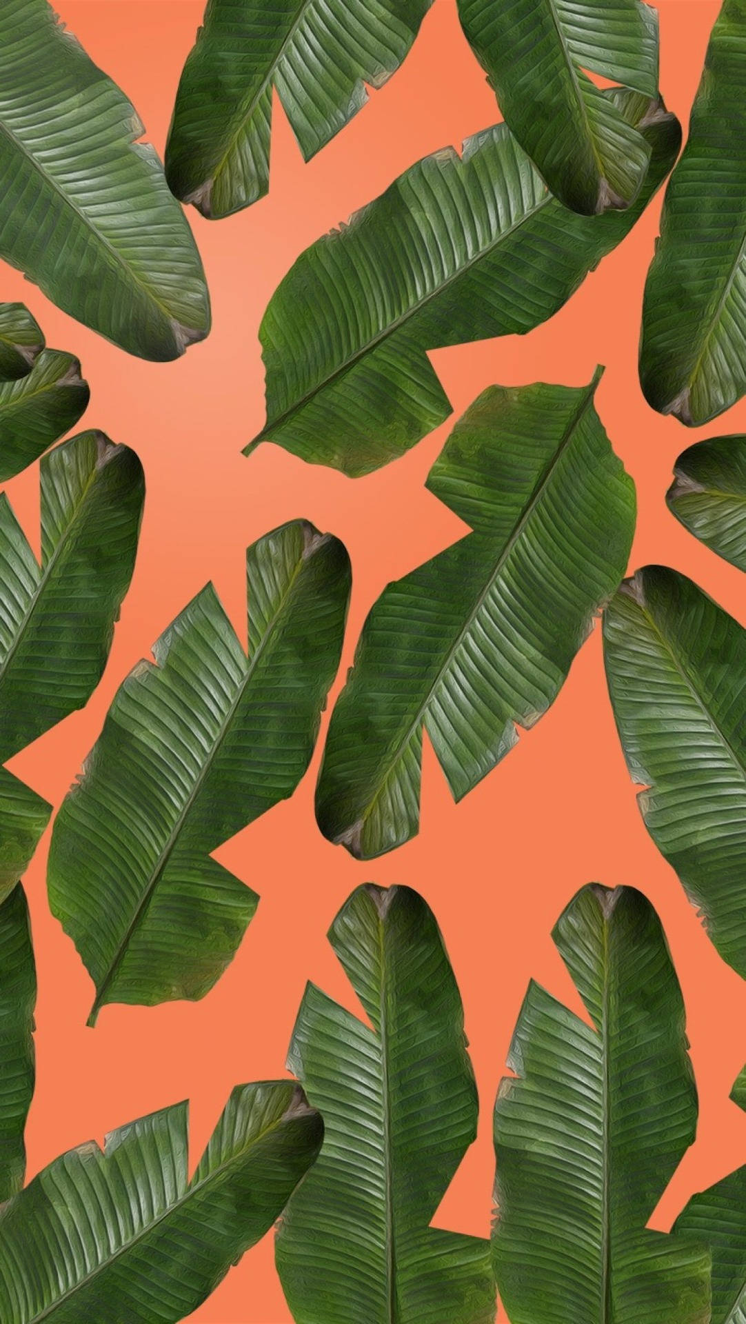Leaves 桌布 壁紙 — 充滿活力的綠色香蕉葉在鮮豔的珊瑚色背景上漂浮，形成熱帶圖案。