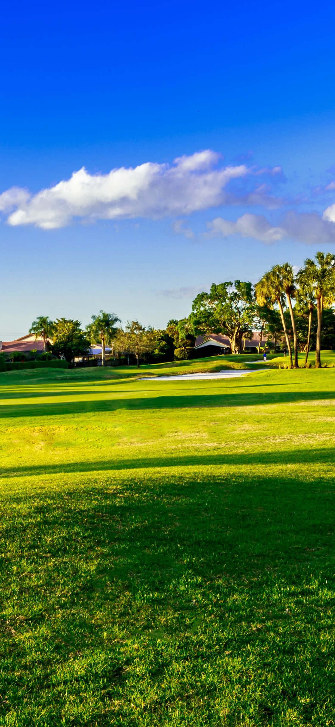 iPhone X Golf Course 桌布 壁紙 — 充滿活力的綠色高爾夫球場在明亮的藍天下延伸，蓬鬆的白雲投下長長的陰影。