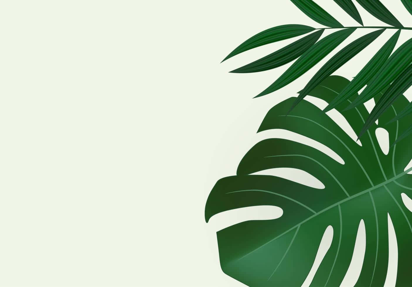 Palm Leaves 桌布 壁紙 — 充滿活力的綠色龜背竹和棕櫚葉在柔和的薄荷色背景上優雅地框住右側。