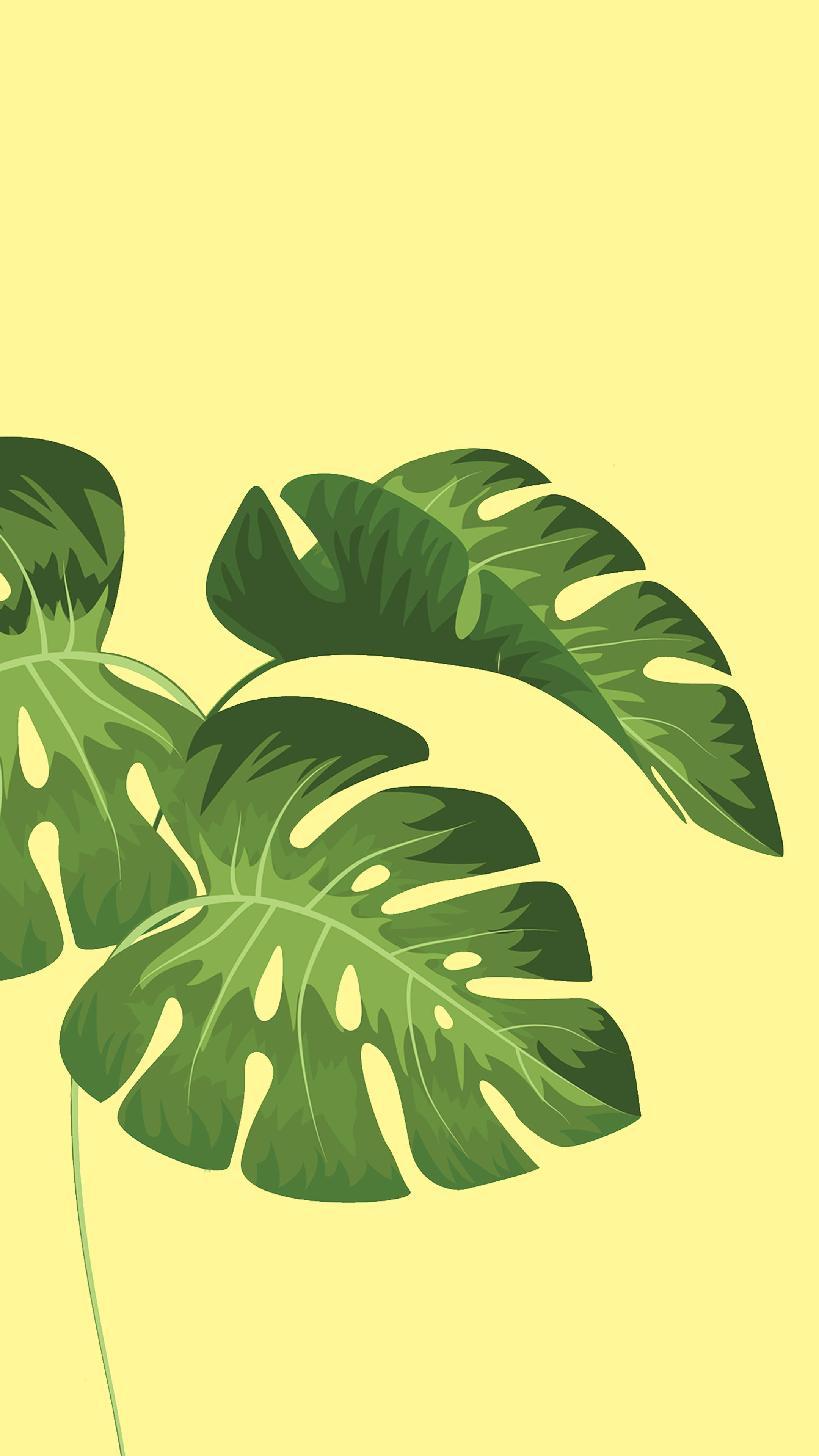 Plant Aesthetic 桌布 壁紙 — 充滿活力的綠色龜背竹葉，帶有自然裂縫和葉脈，在柔和的黃色背景上優雅地漂浮。